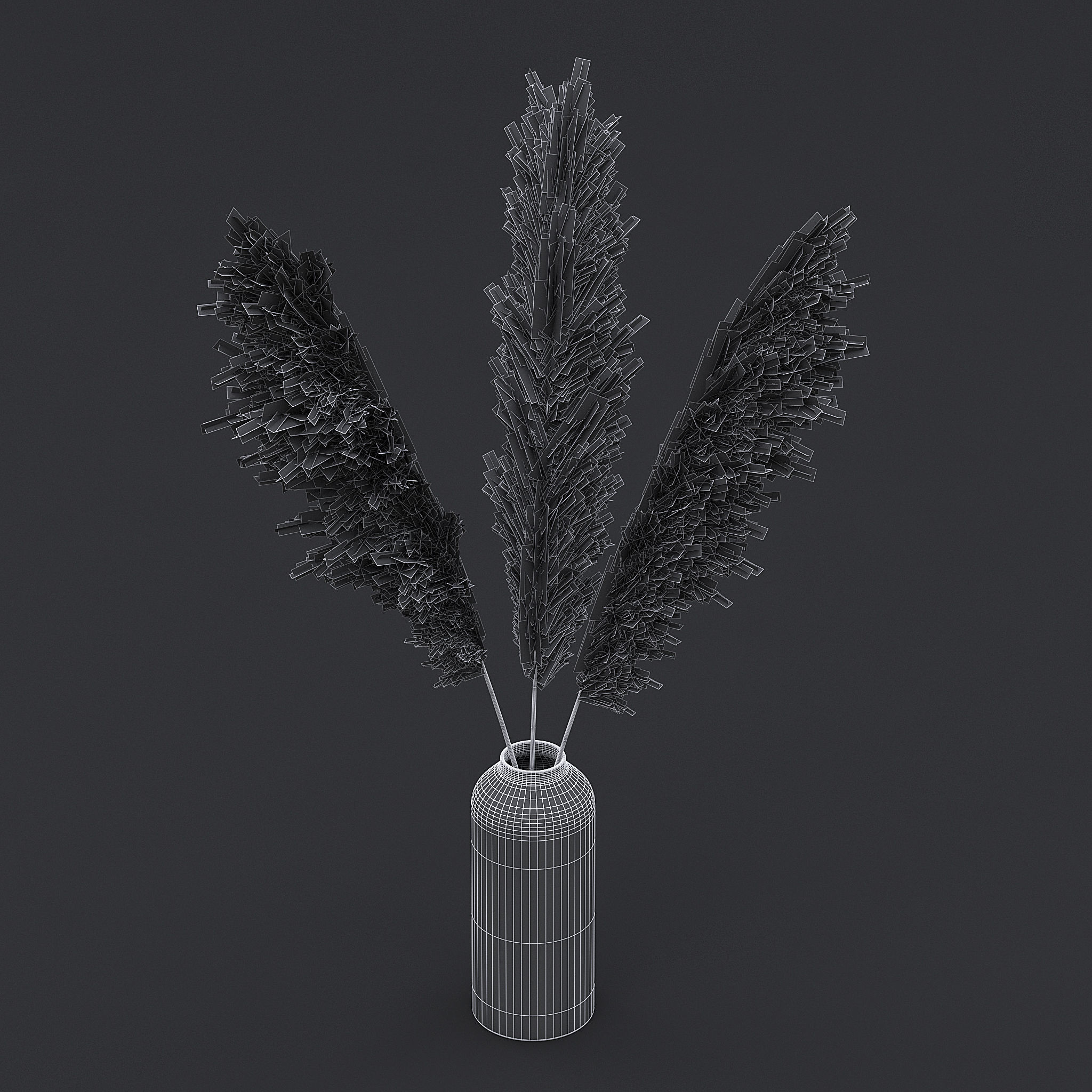Pampas Grass I 3D model_8
