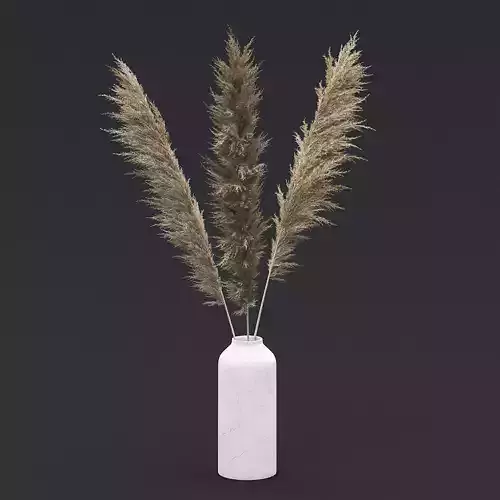 Pampas Grass I 3D model
