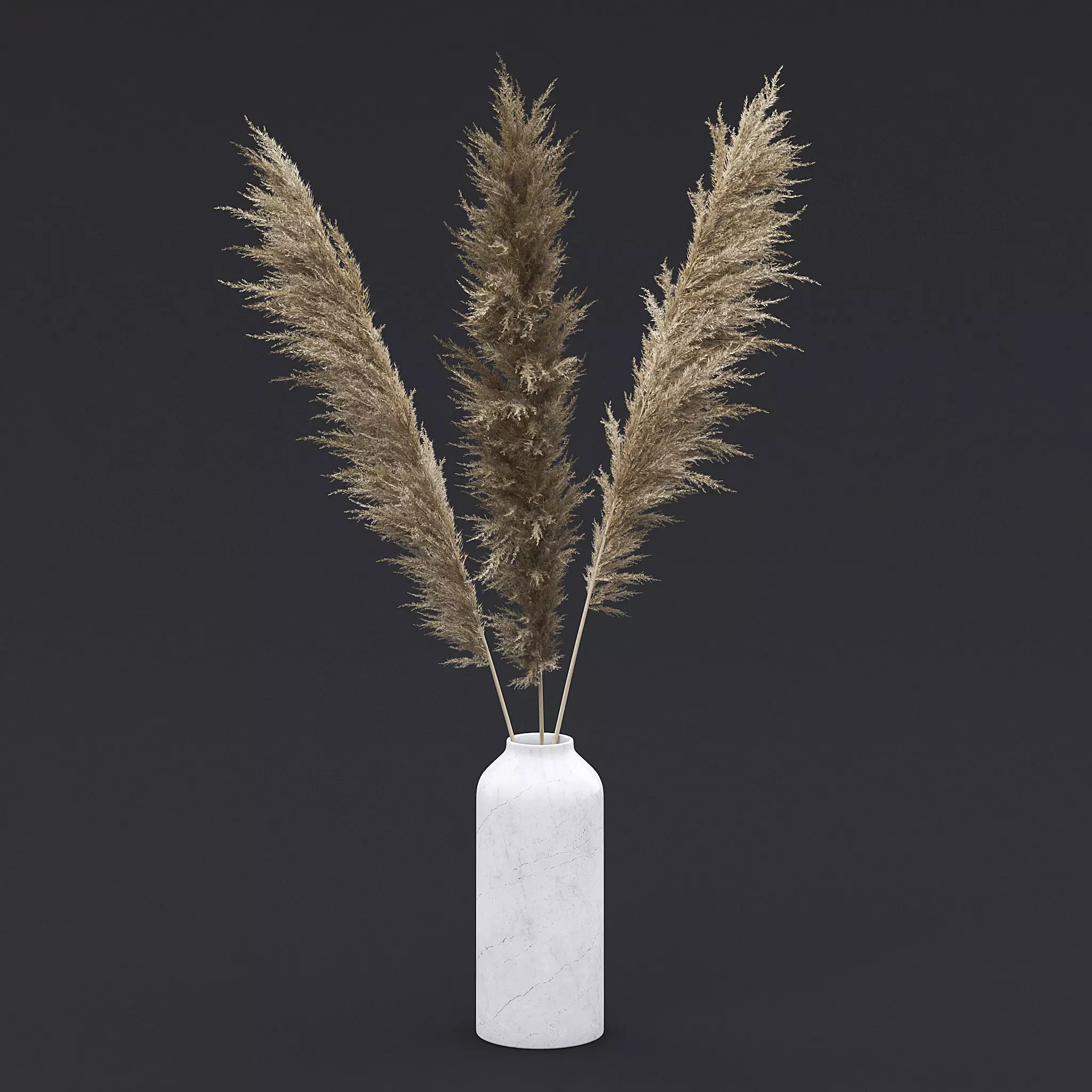 Pampas Grass I 3D model_0