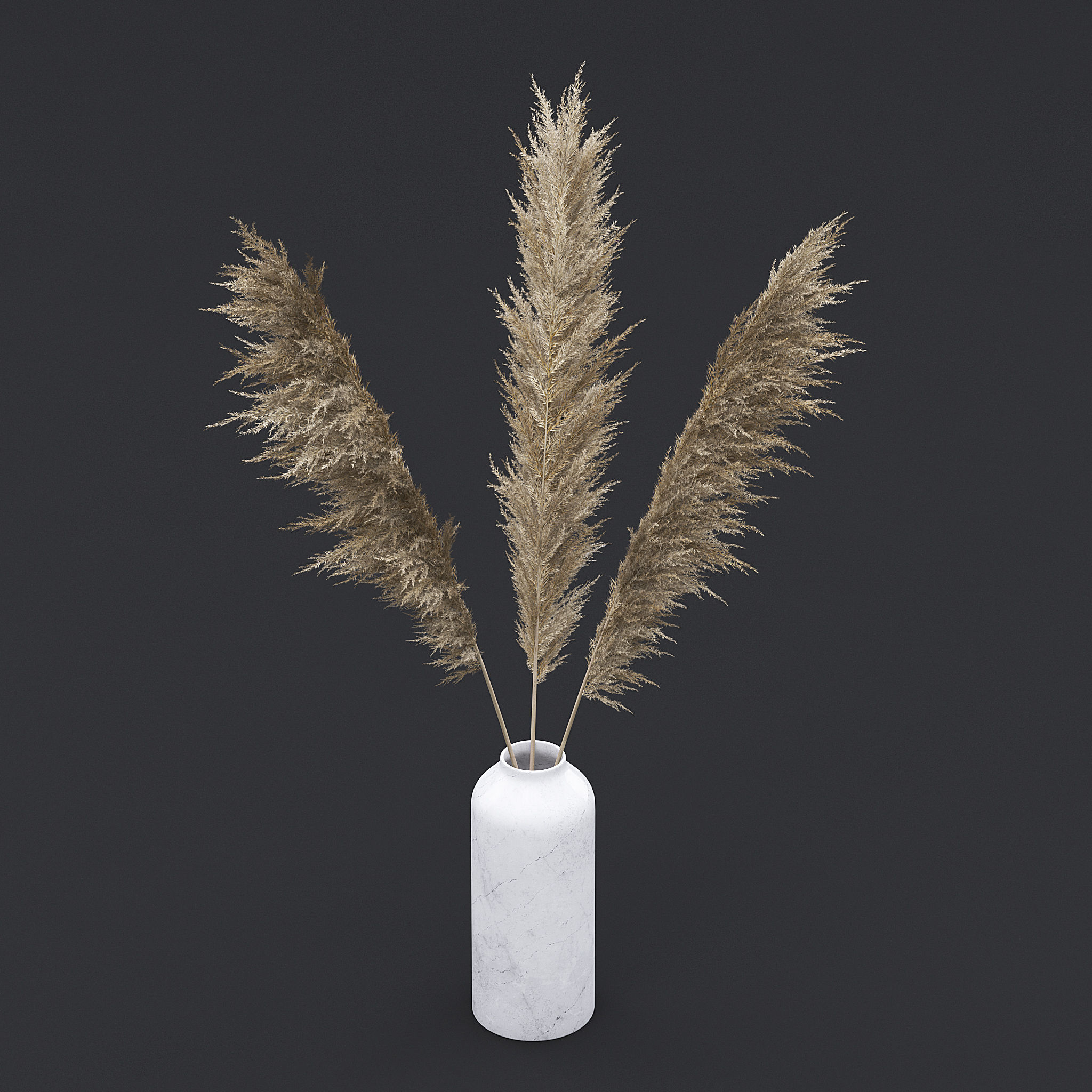 Pampas Grass I 3D model_3
