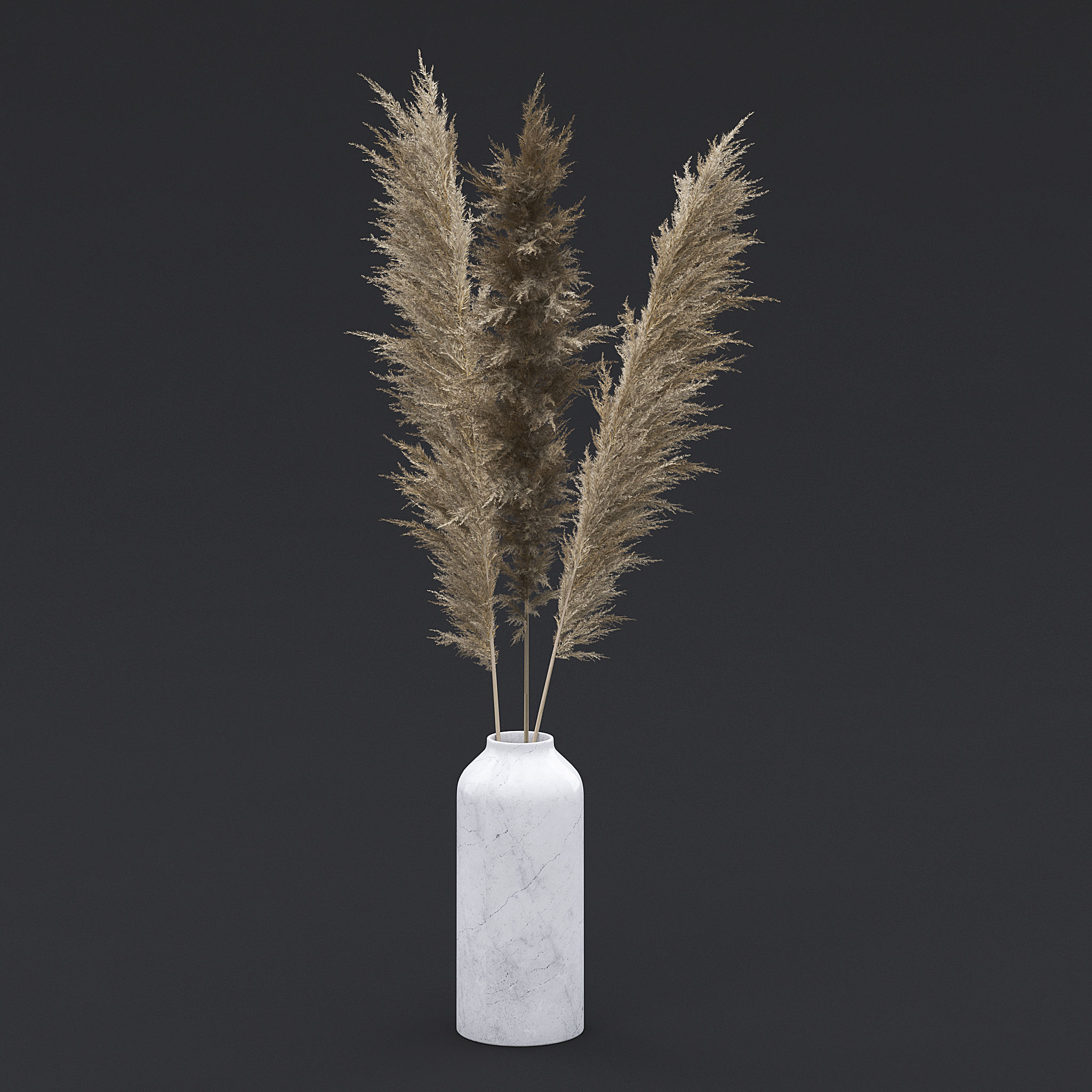 Pampas Grass I 3D model_2