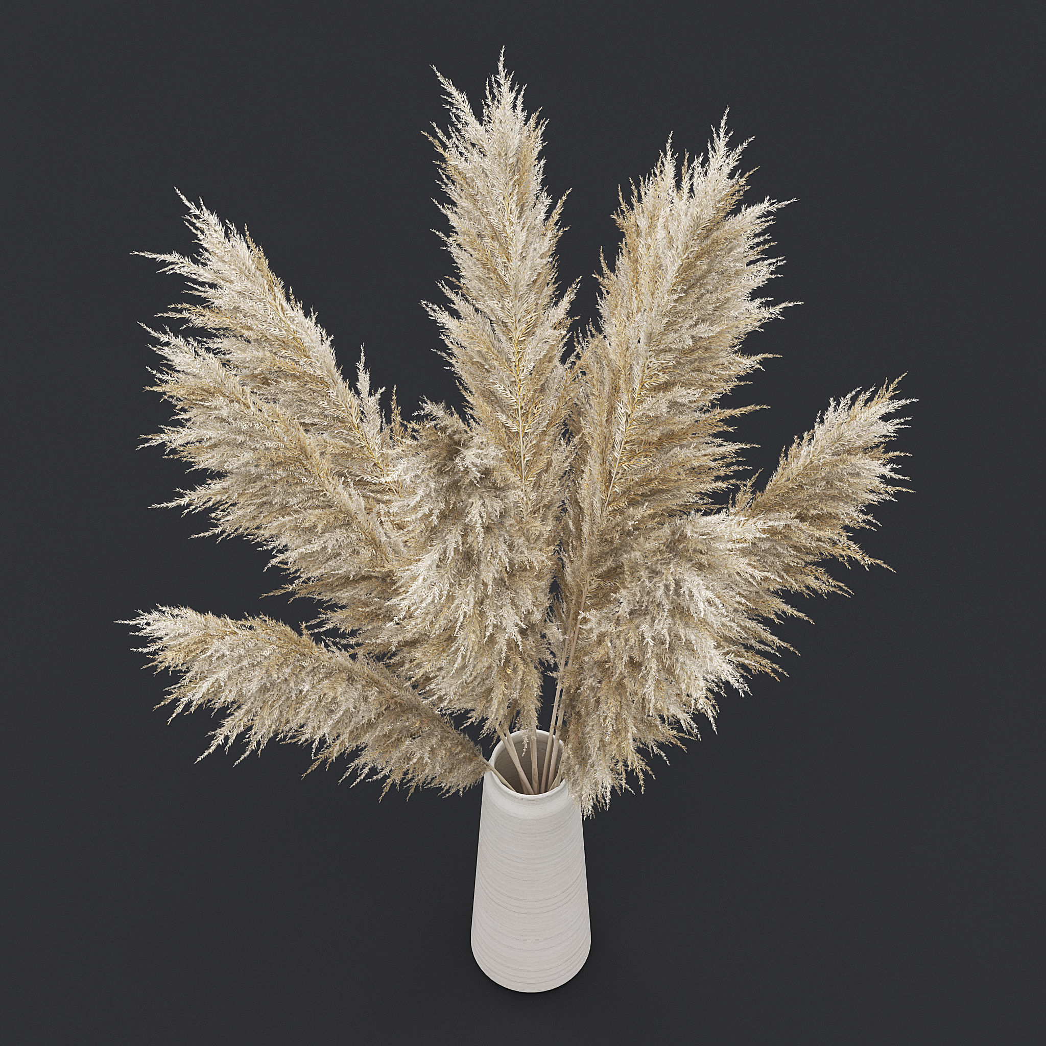 Pampas Grass II 3D model_3