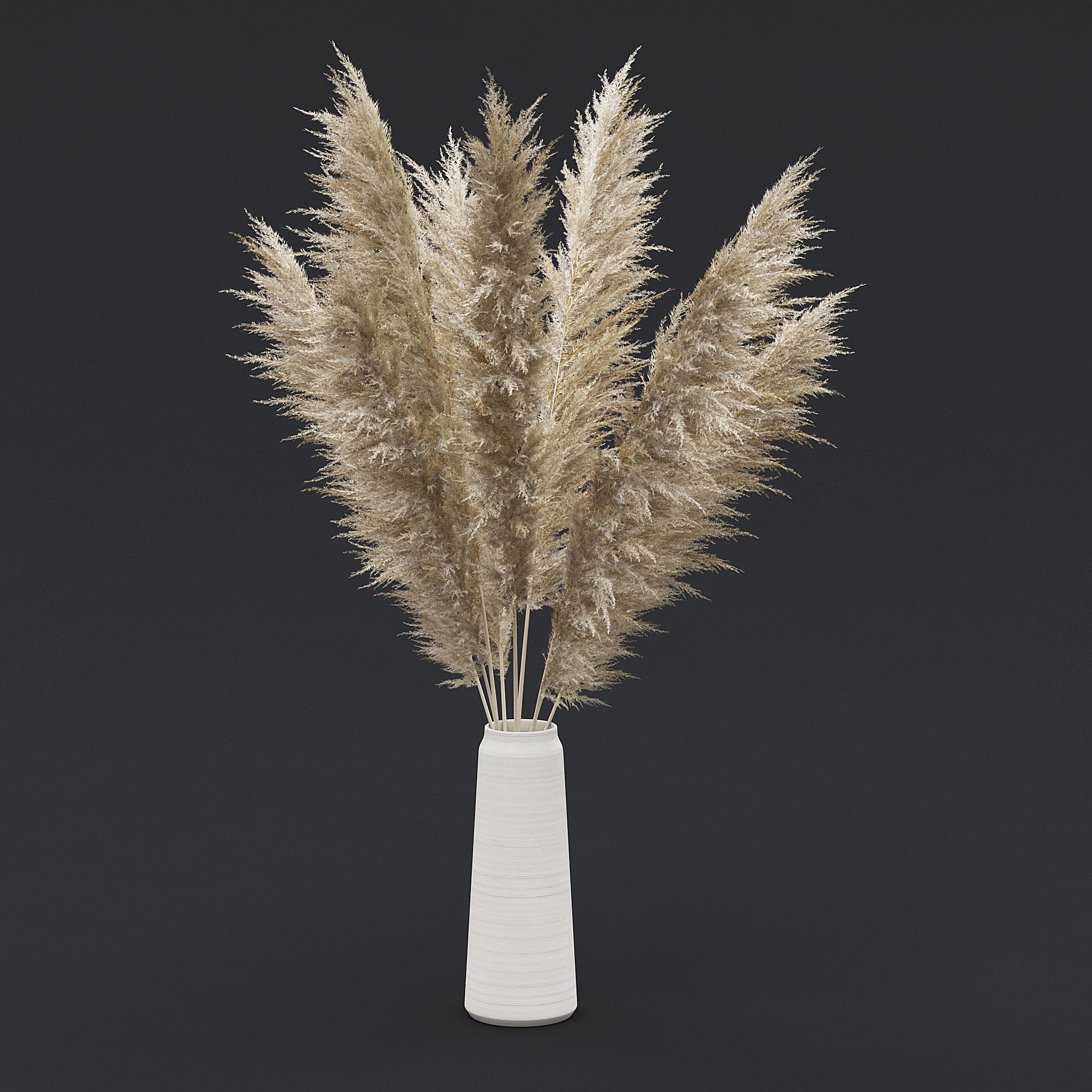 Pampas Grass II 3D model_2
