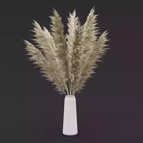 Pampas Grass II 3D model