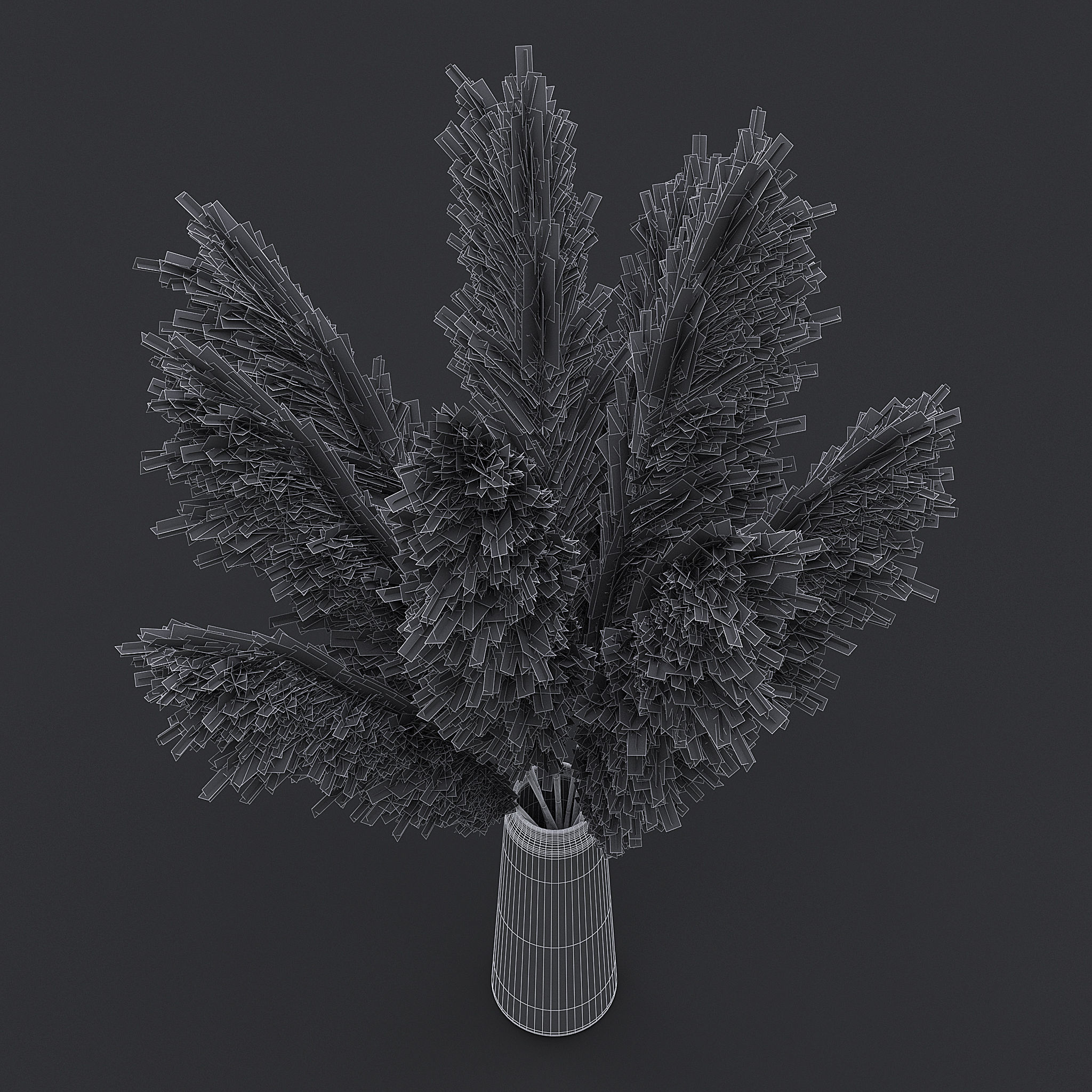 Pampas Grass II 3D model_8