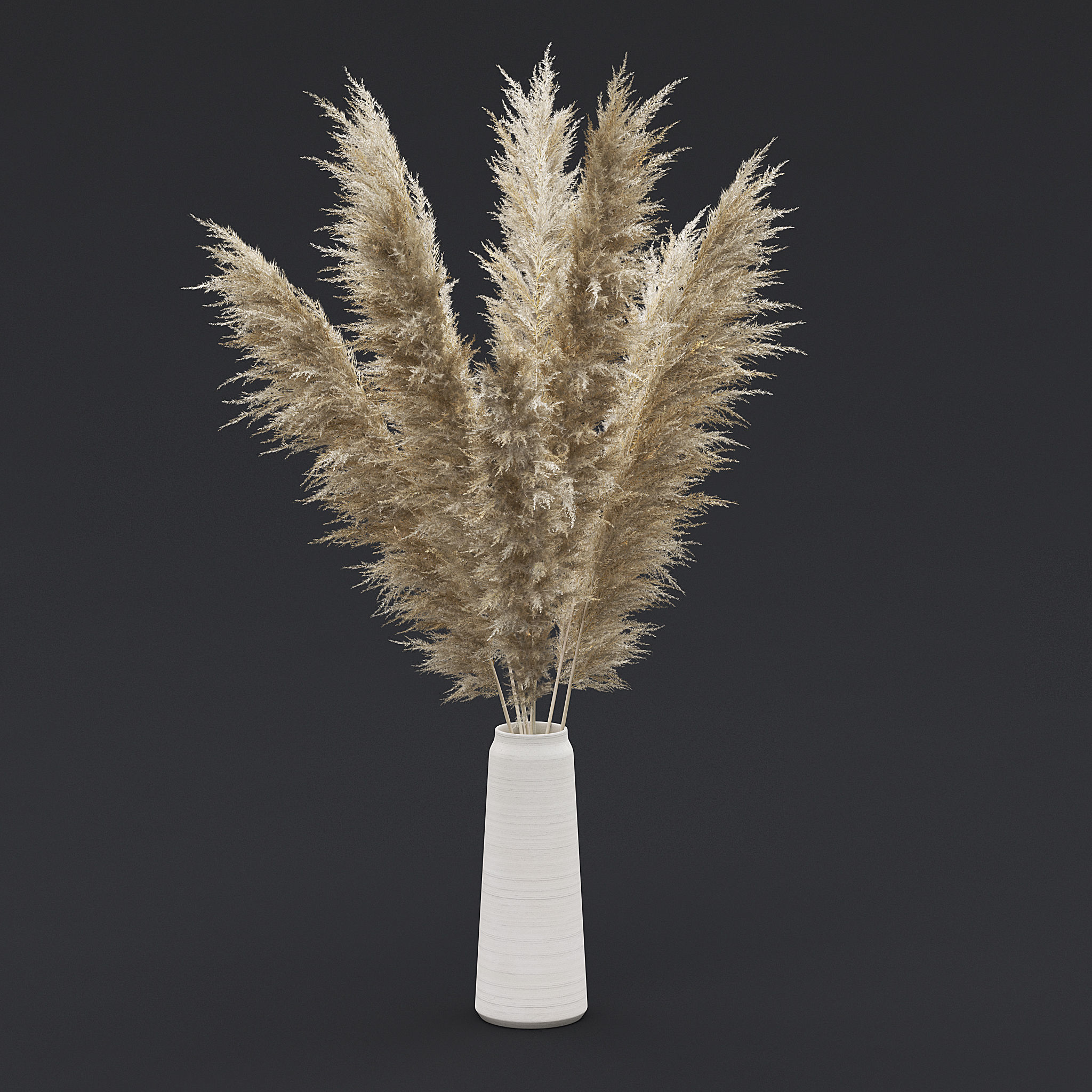 Pampas Grass II 3D model_1