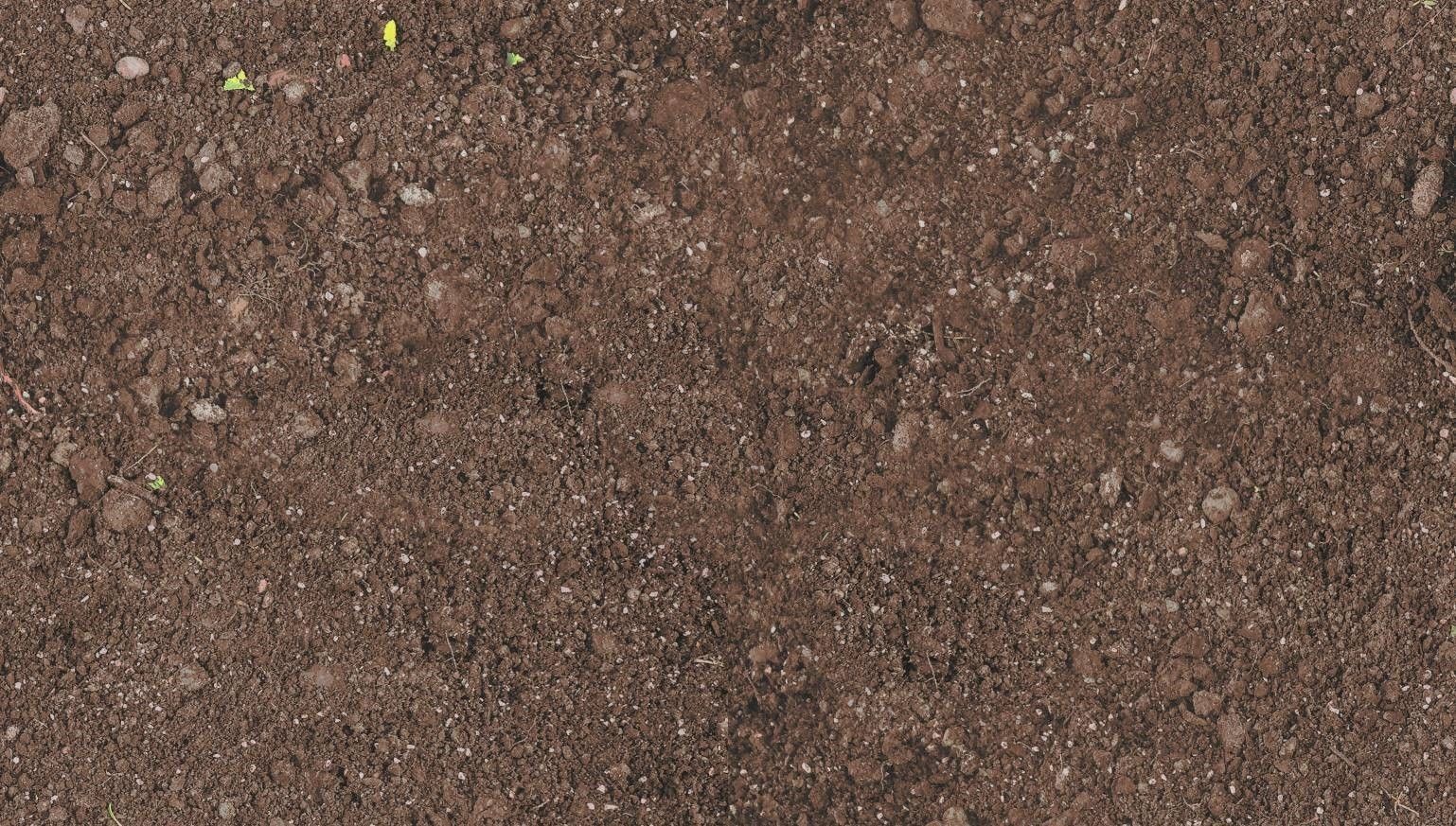 Exterior House 3D model_3