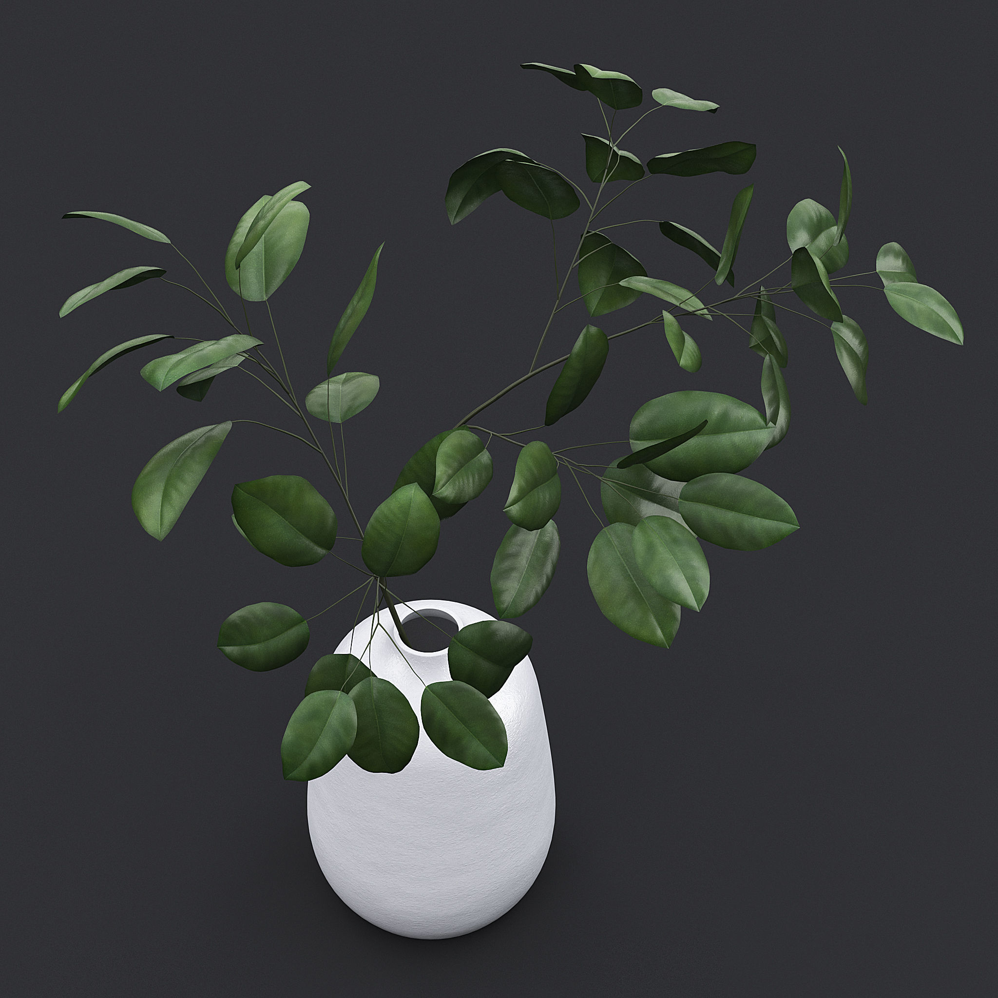 Tree Branch In Vase II 3D model_4