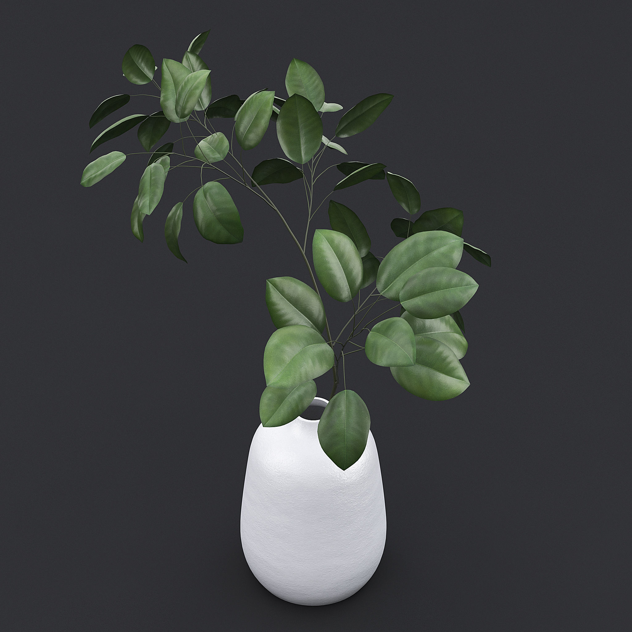 Tree Branch In Vase II 3D model_3