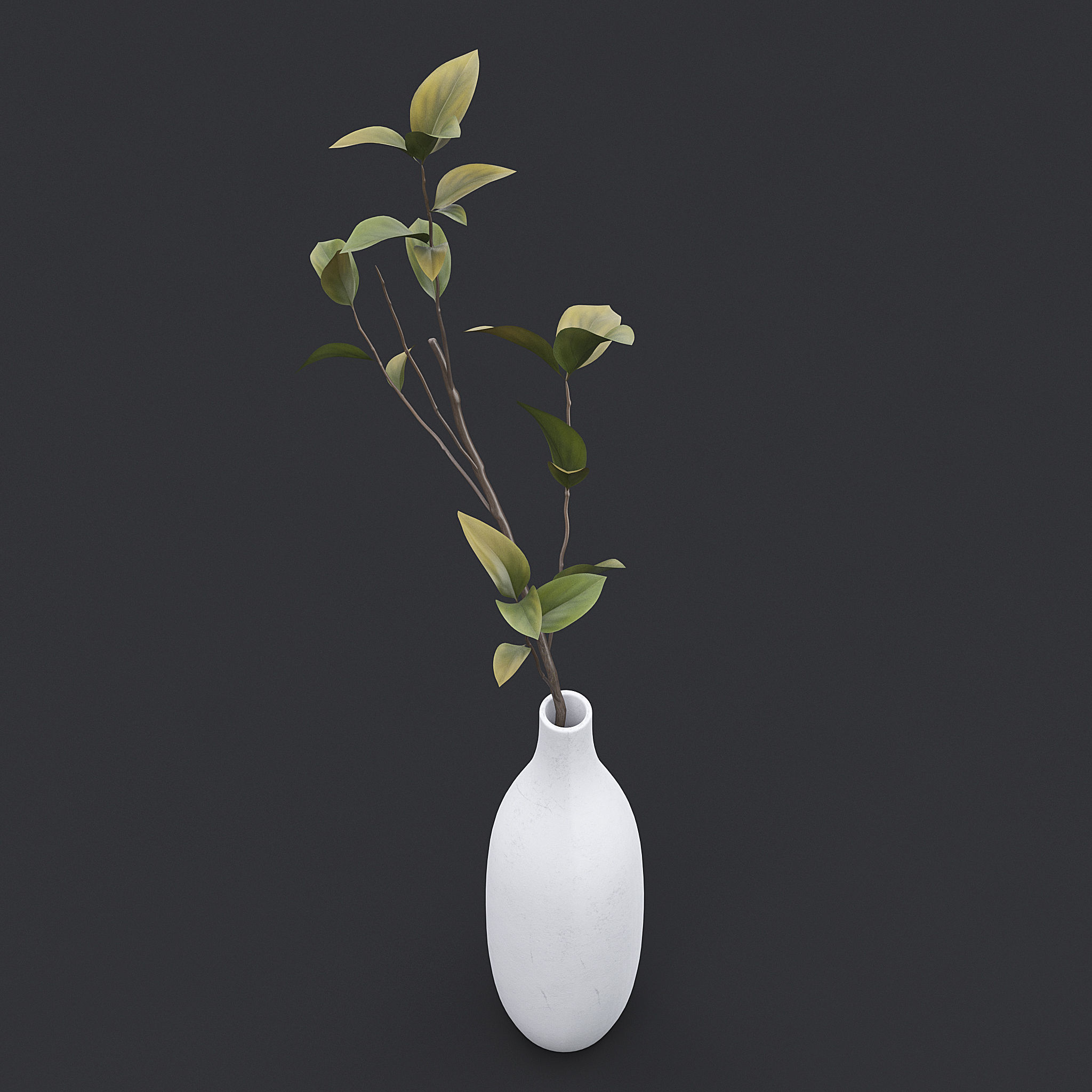 Tree Branch In Vase III 3D model_4
