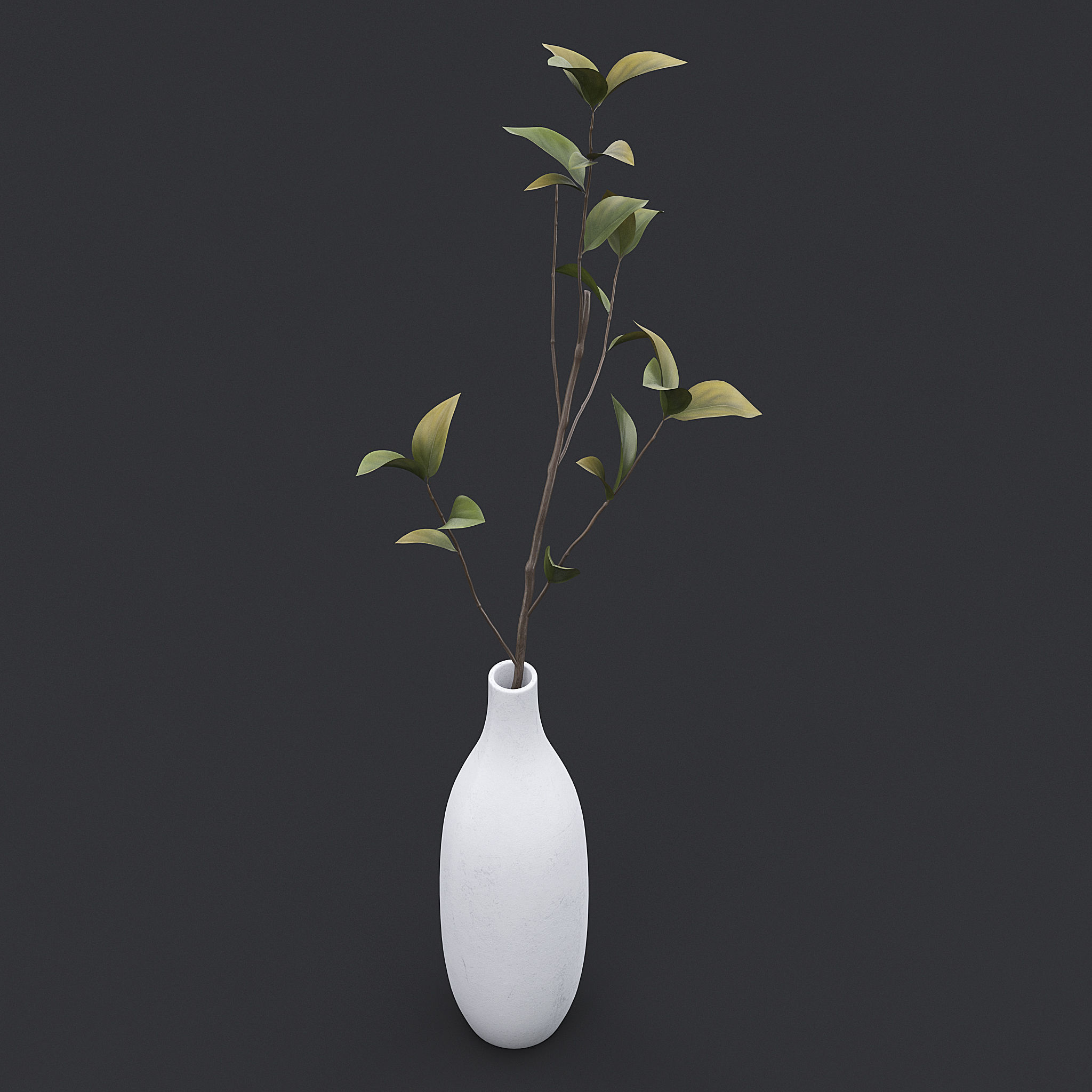 Tree Branch In Vase III 3D model_3
