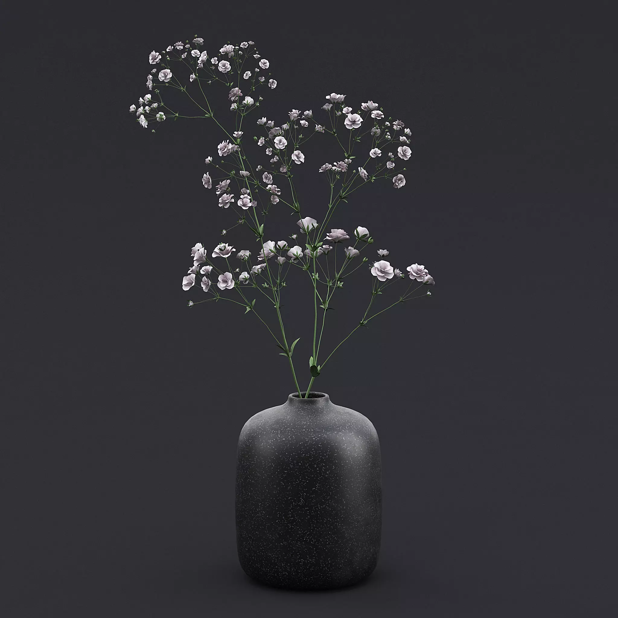 White Wild Flowers II 3D model_0