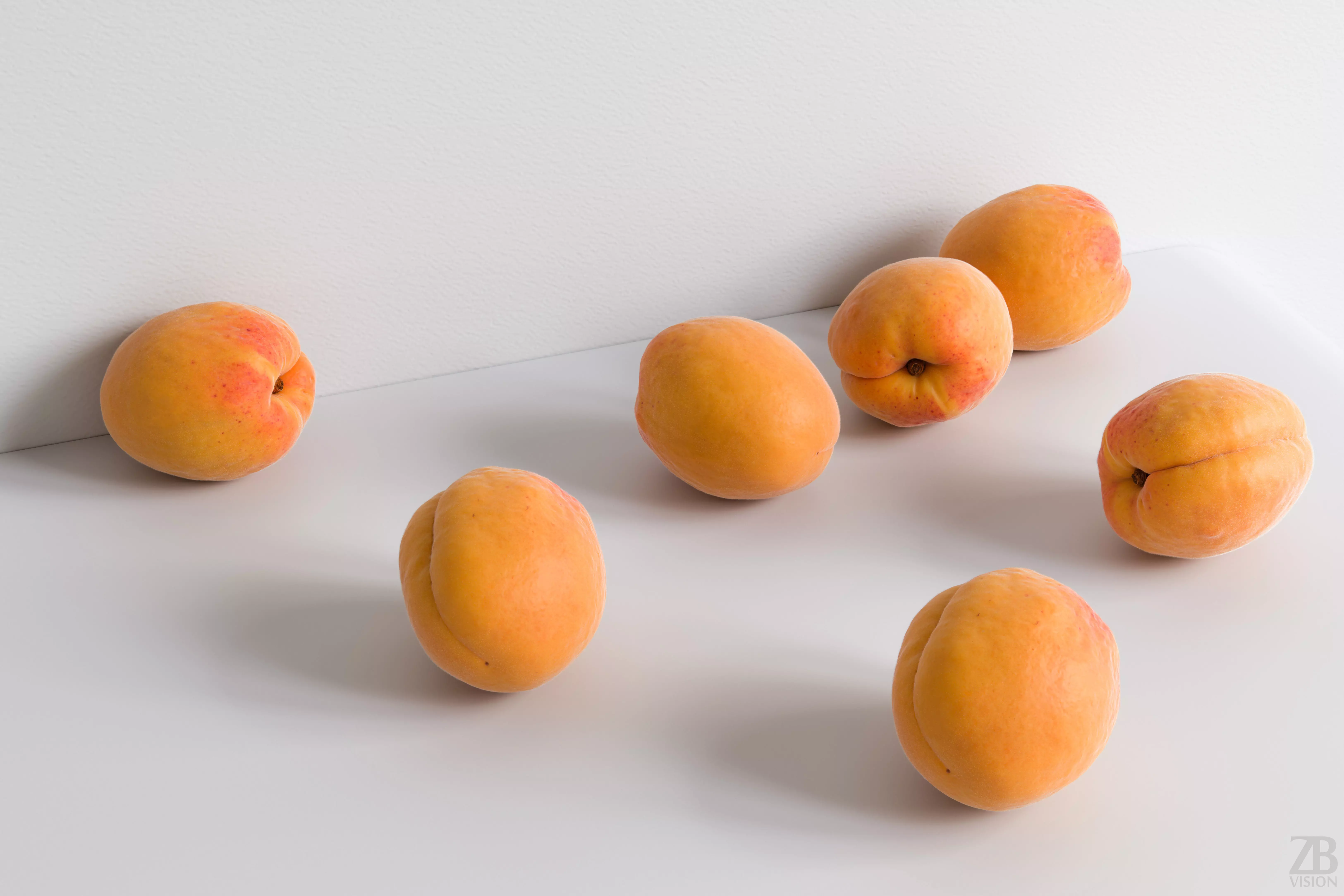 Apricot 3D model