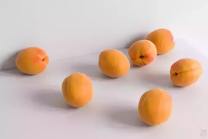 Apricot
