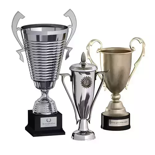 Sports award cup trophy Set of three cups 3D model