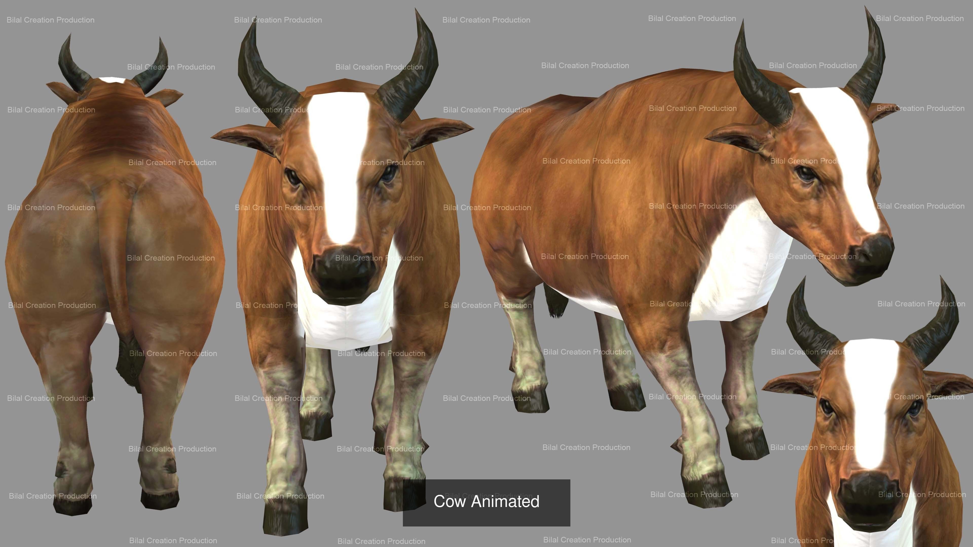 3 PACK OF COW AND  BULL PACK 3D Model Collection_3