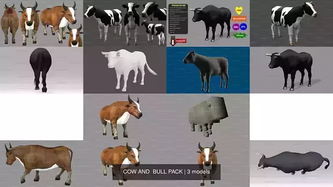 3 PACK OF COW AND  BULL PACK 3D Model Collection