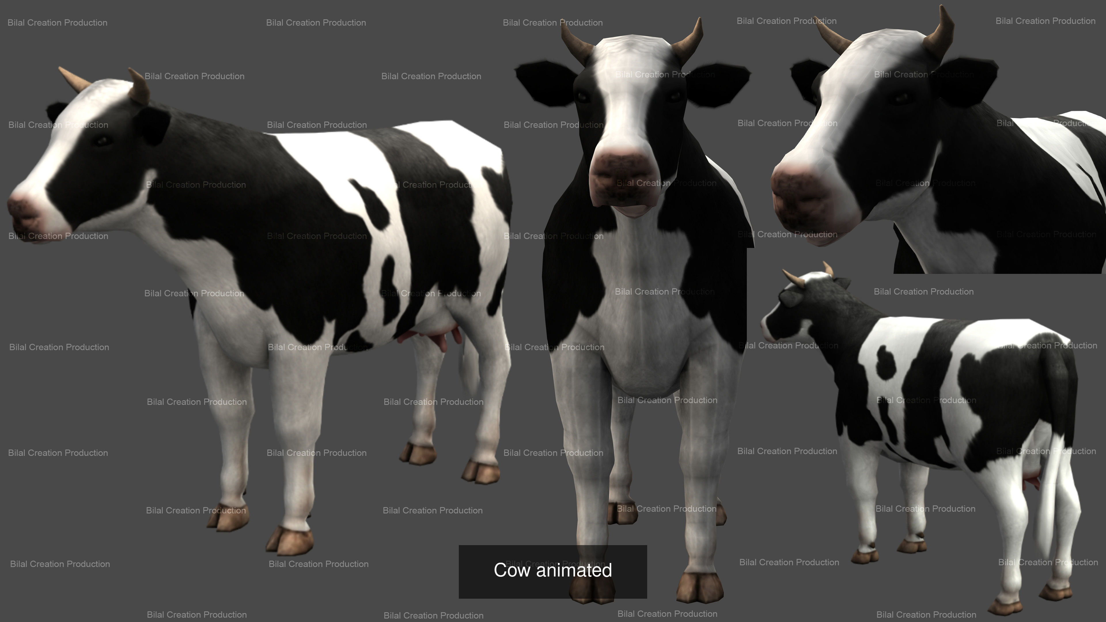 3 PACK OF COW AND  BULL PACK 3D Model Collection_4