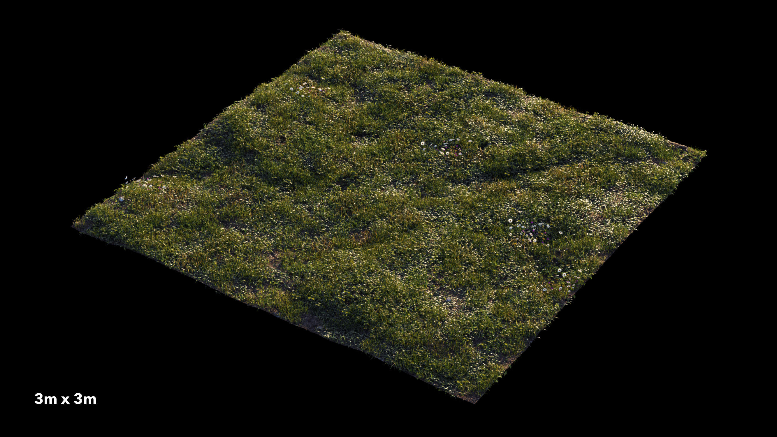 Grass setup - Chaos scatter for Cinema 4D and Corona 3D model_4