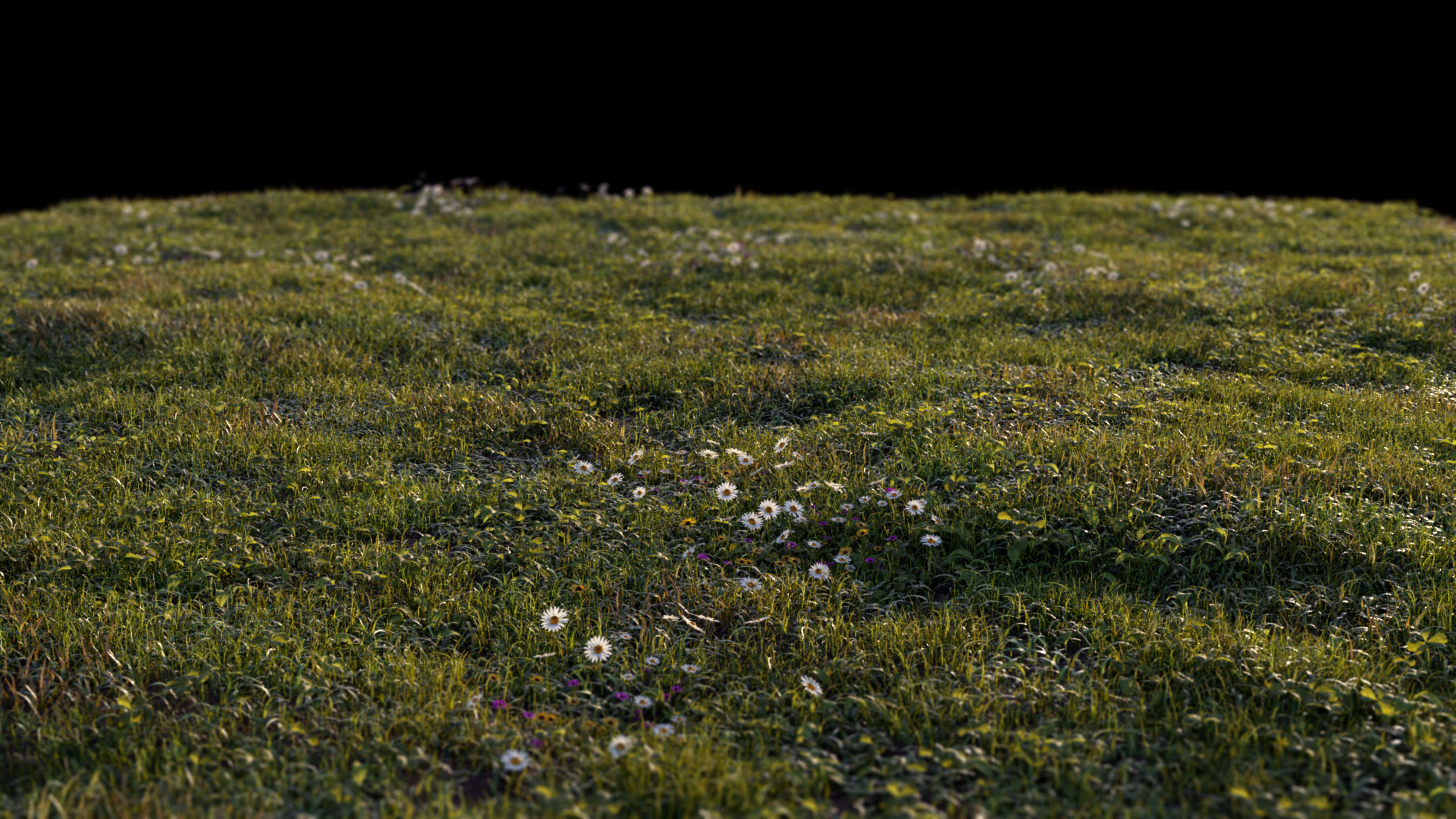 Grass setup - Chaos scatter for Cinema 4D and Corona 3D model_13