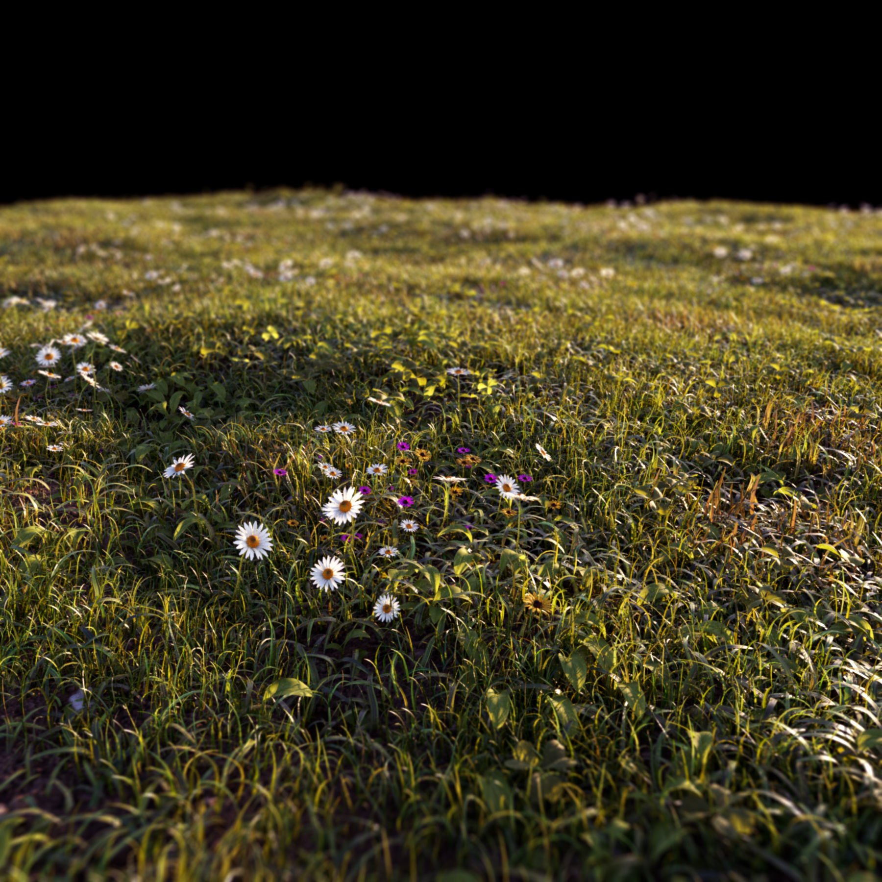 Grass setup - Chaos scatter for Cinema 4D and Corona 3D model_10