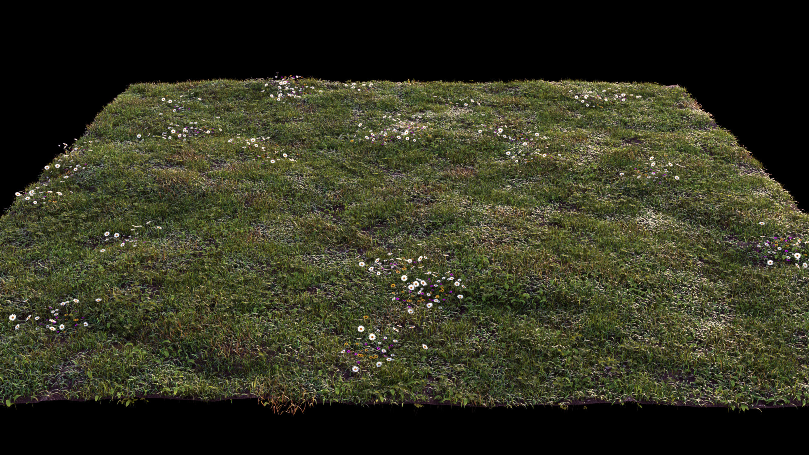 Grass setup - Chaos scatter for Cinema 4D and Corona 3D model_14