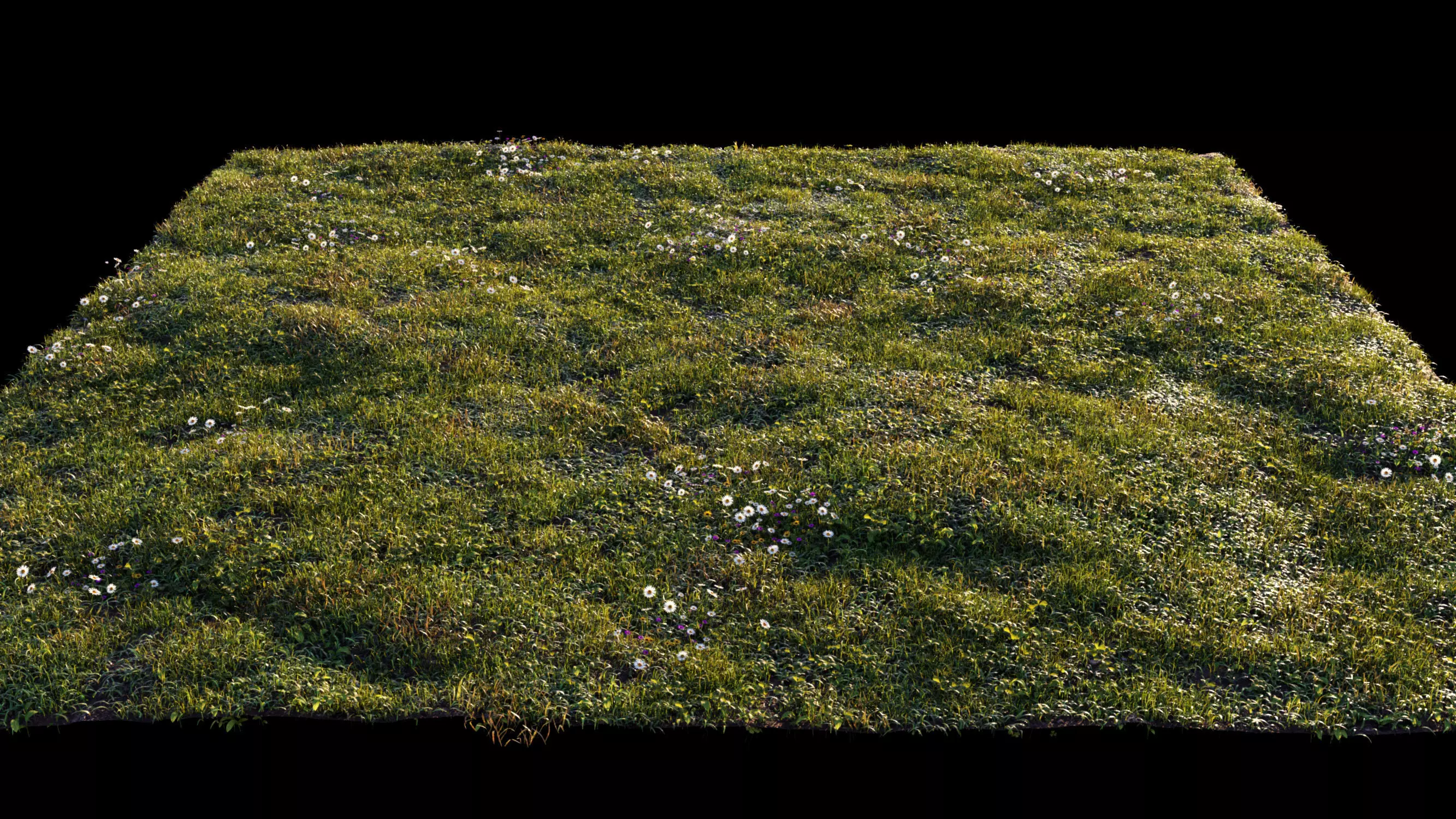 Grass setup - Chaos scatter for Cinema 4D and Corona 3D model_0