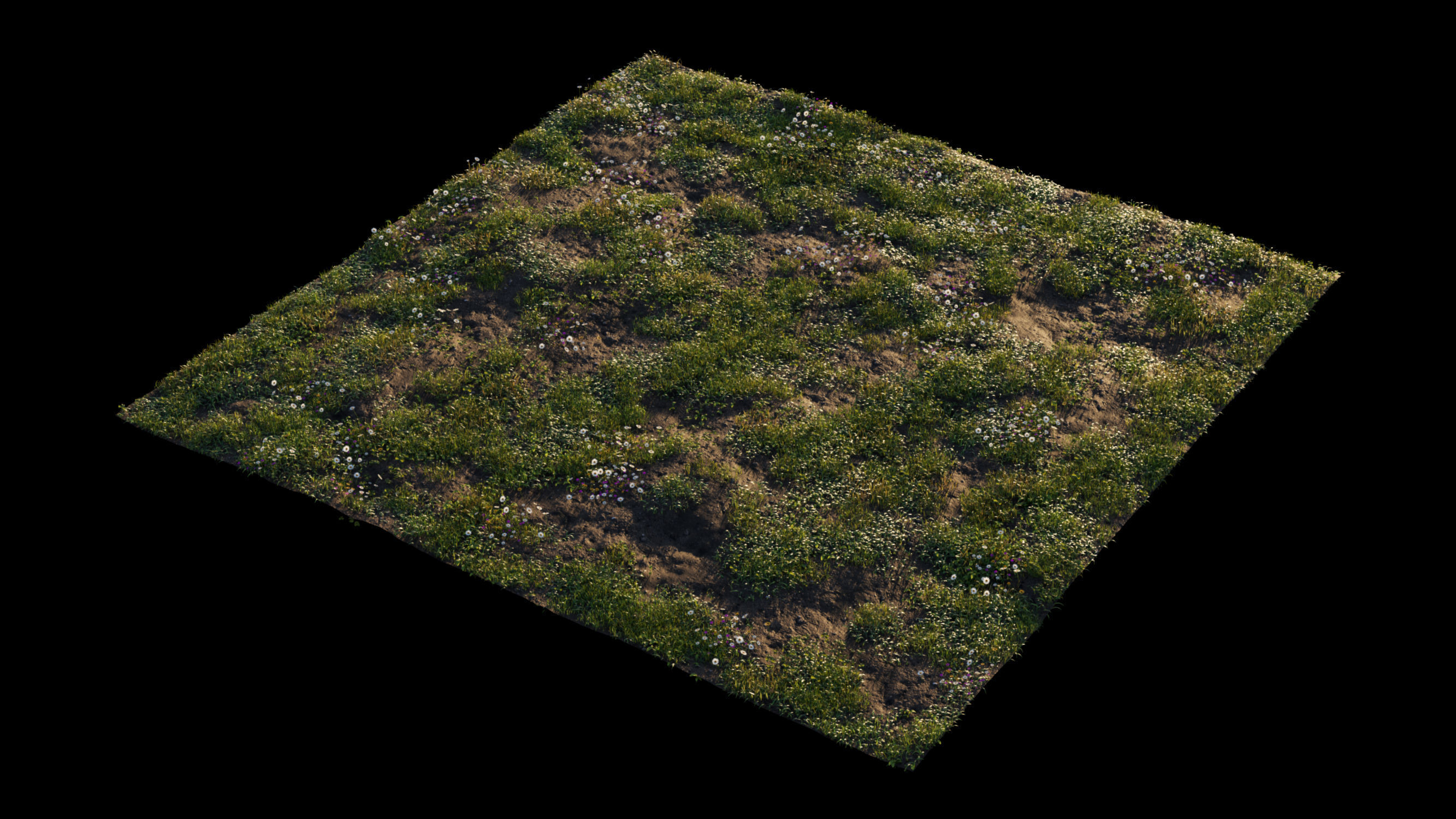 Grass setup - Chaos scatter for Cinema 4D and Corona 3D model_9