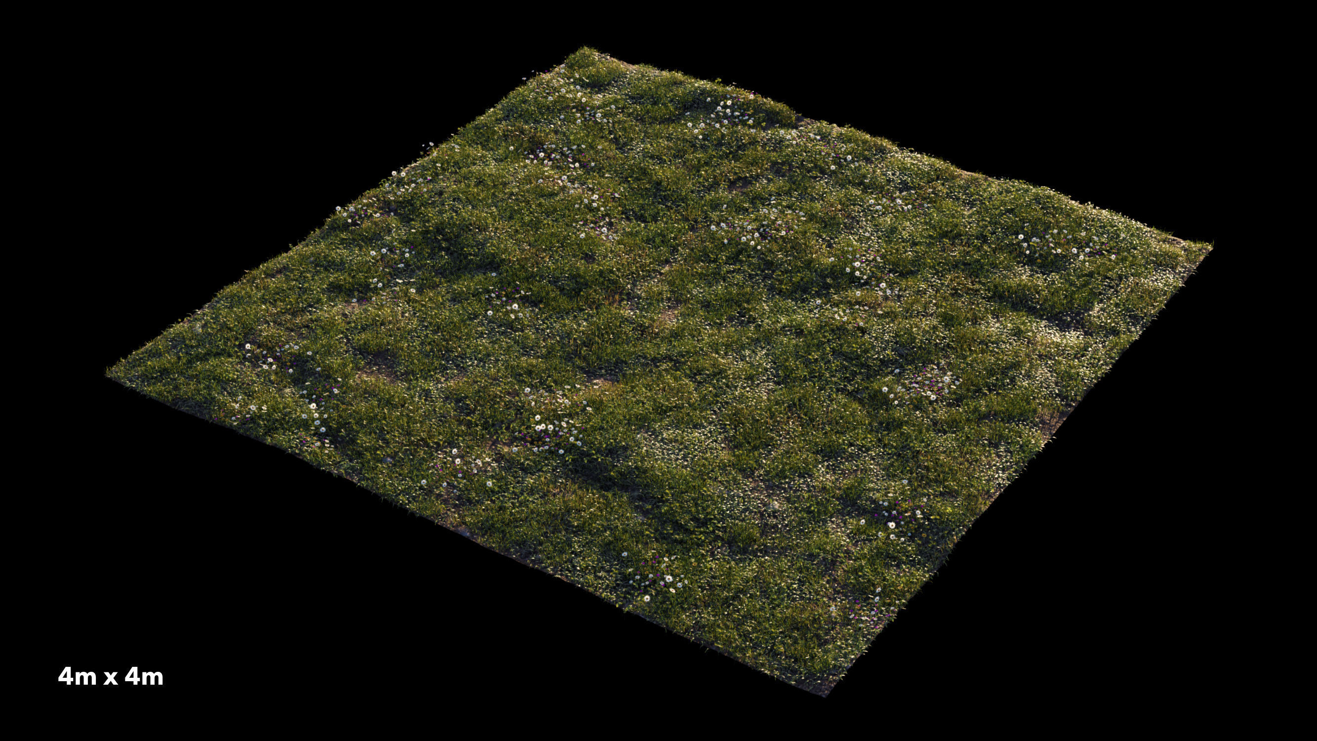 Grass setup - Chaos scatter for Cinema 4D and Corona 3D model_5