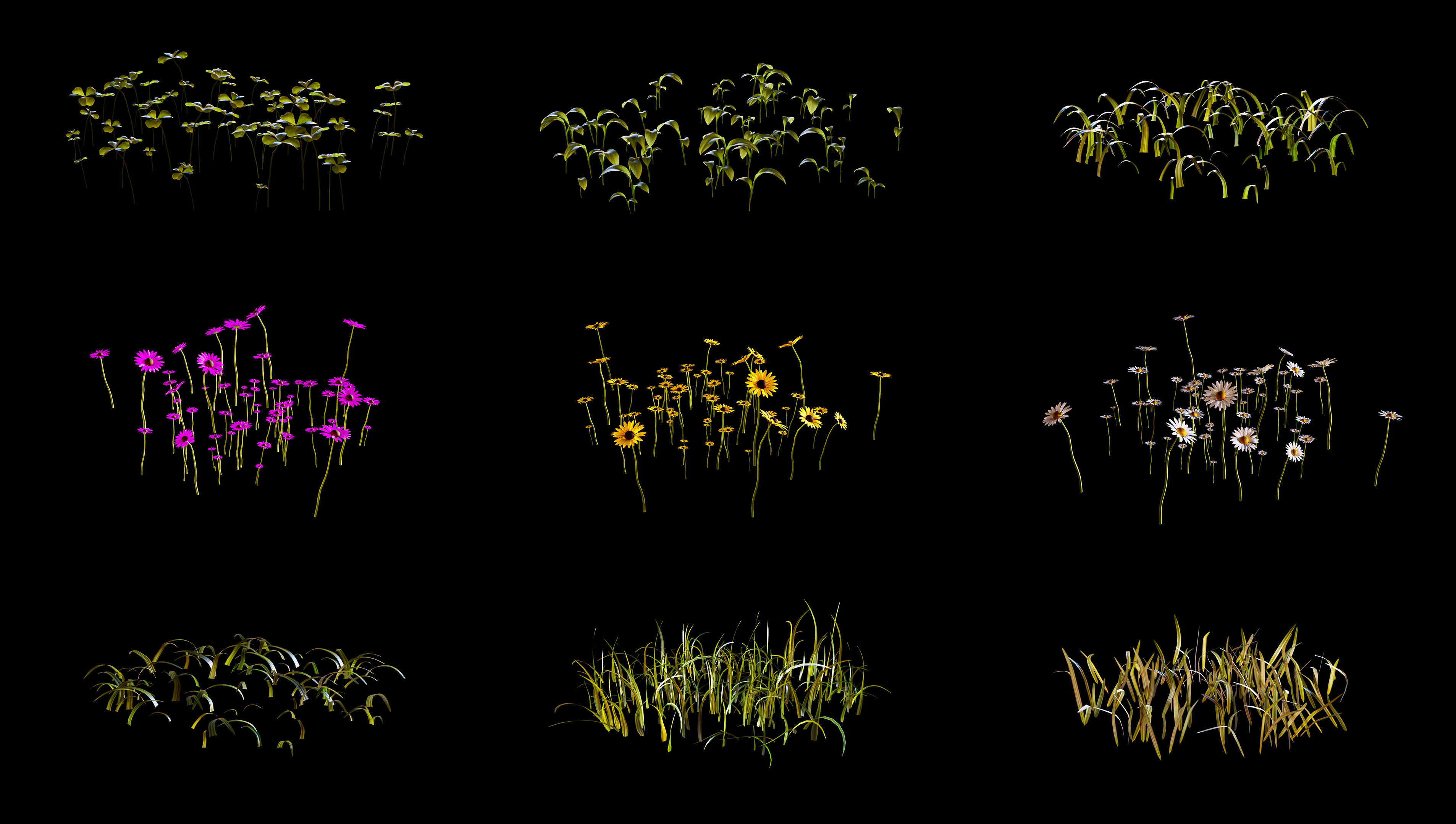 Grass setup - Chaos scatter for Cinema 4D and Corona 3D model_1