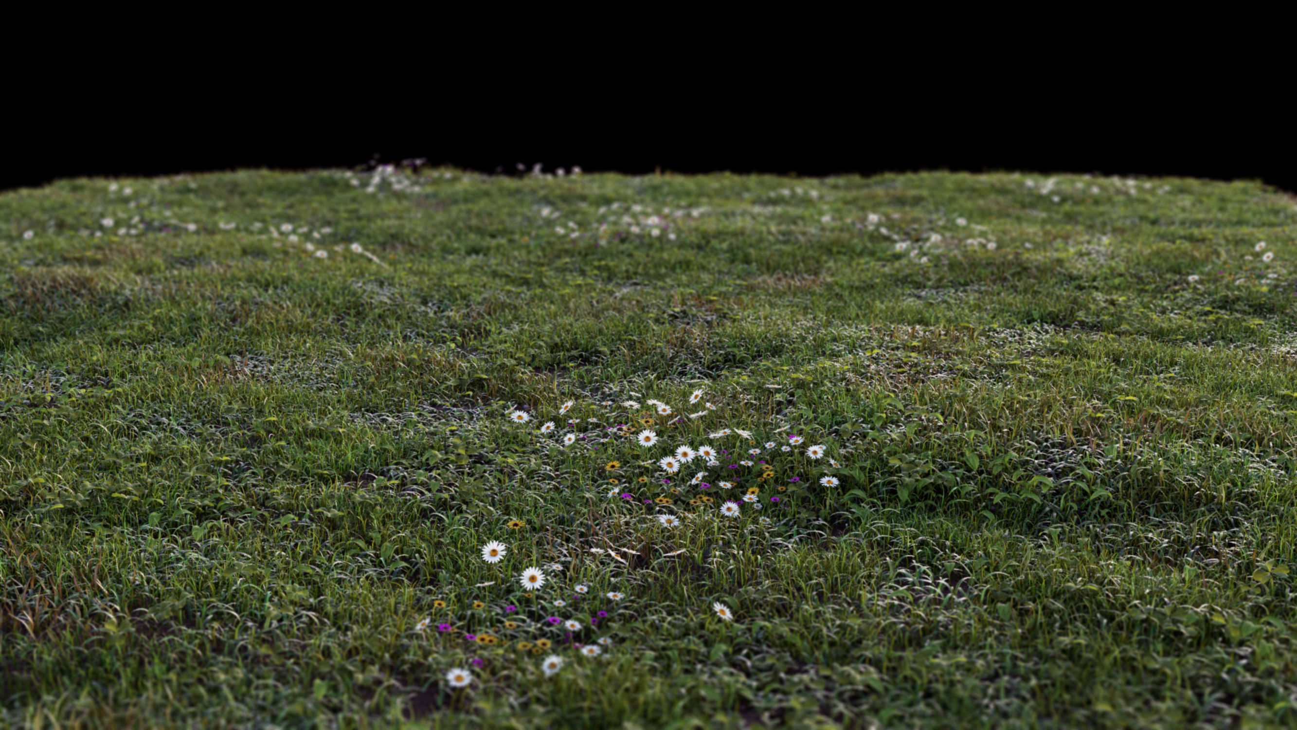 Grass setup - Chaos scatter for Cinema 4D and Corona 3D model_12