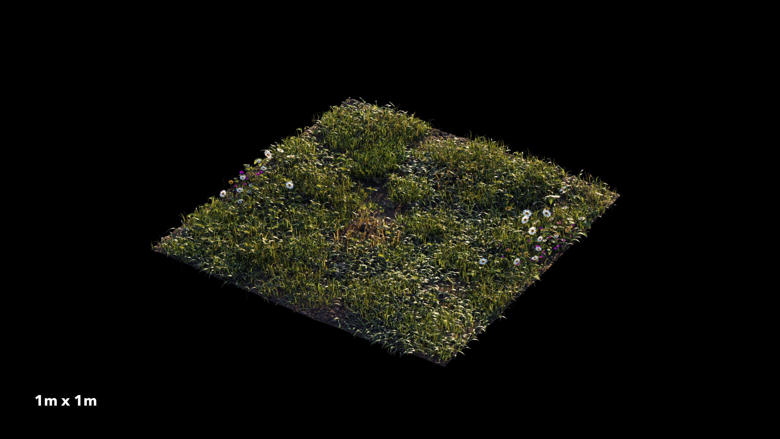 Grass setup - Chaos scatter for Cinema 4D and Corona 3D model_2