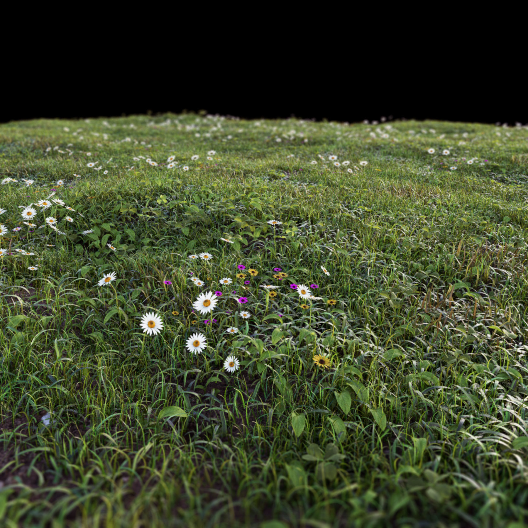 Grass setup - Chaos scatter for Cinema 4D and Corona 3D model_11