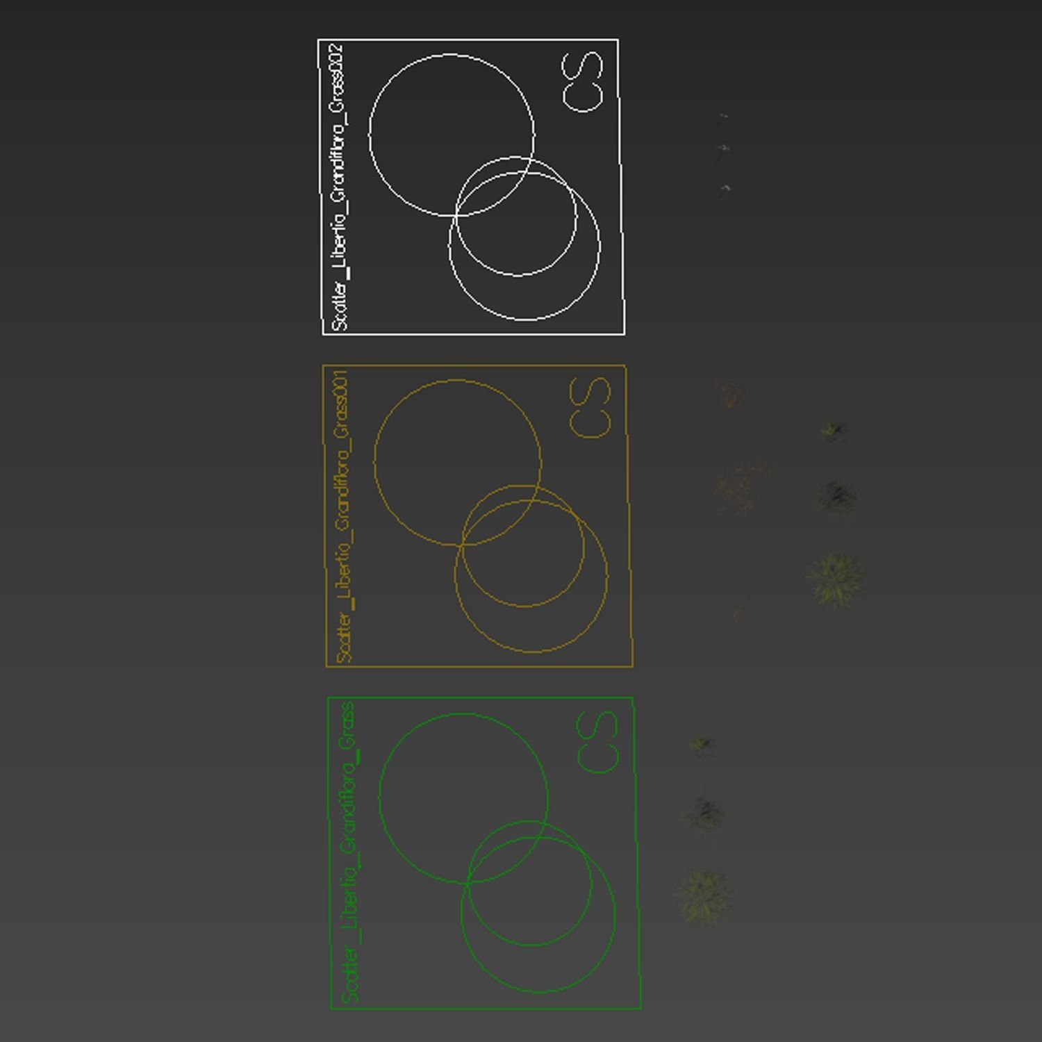 Grass Beautiful Lawn With Libertia Grandiflora Version2 3D model_5