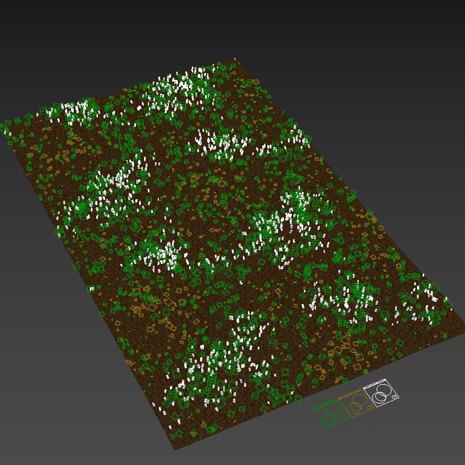 Grass Beautiful Lawn With Libertia Grandiflora Version2 3D model_4