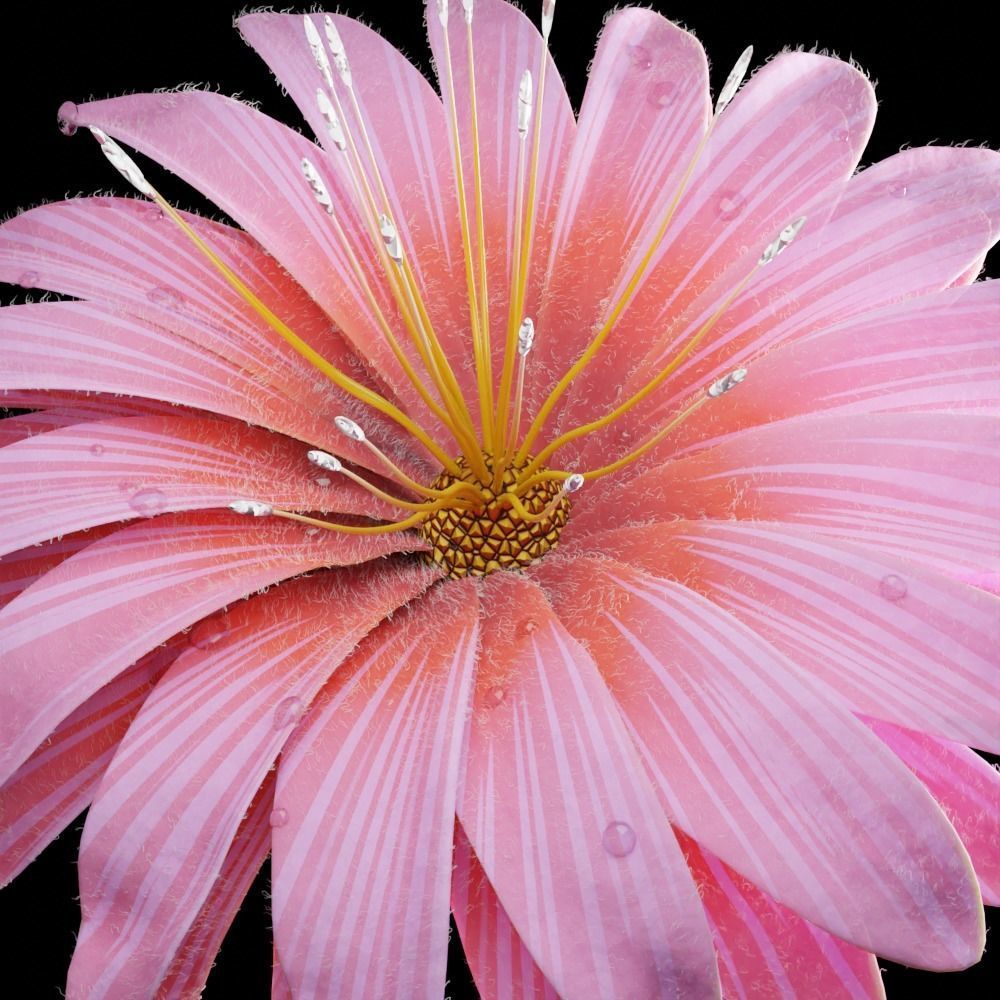 Unique Flower 08 3D model_2