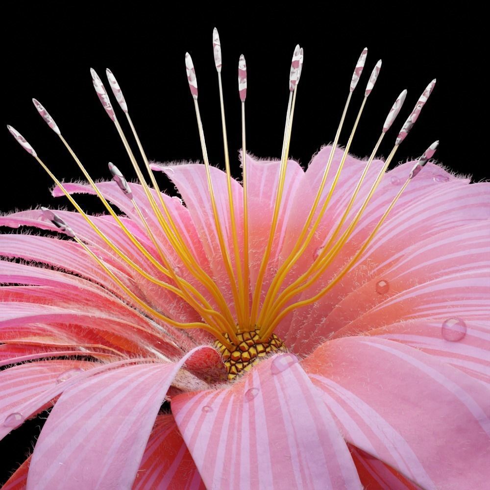 Unique Flower 08 3D model_3