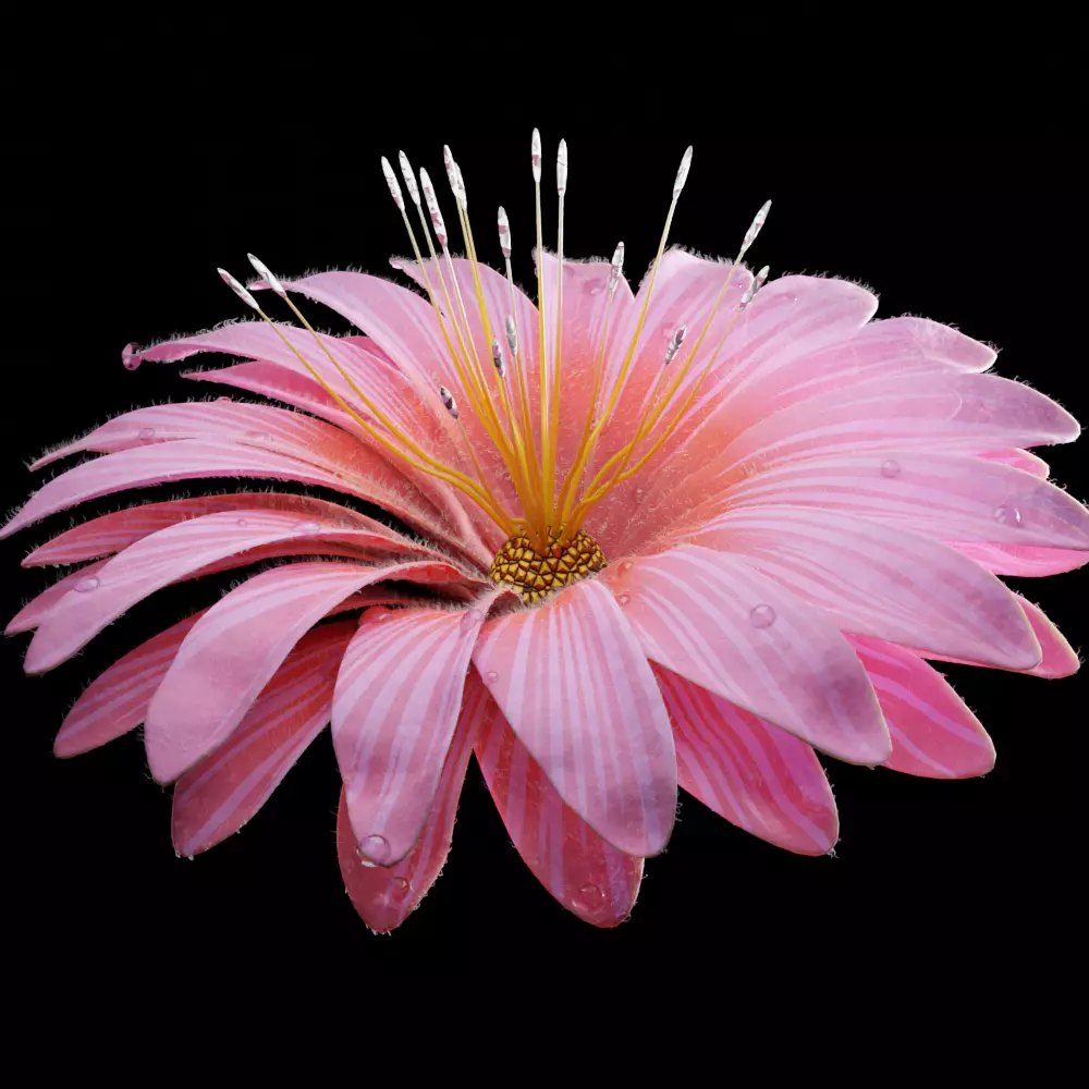 Unique Flower 08 3D model_0