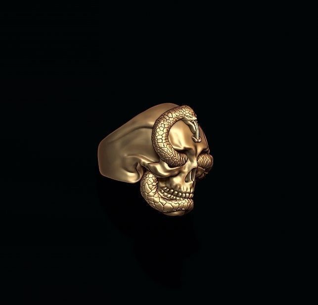 skull with snake ring 3D print model_1