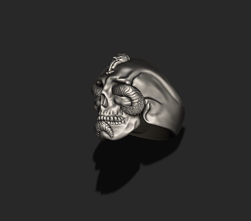 skull with snake ring 3D print model_5