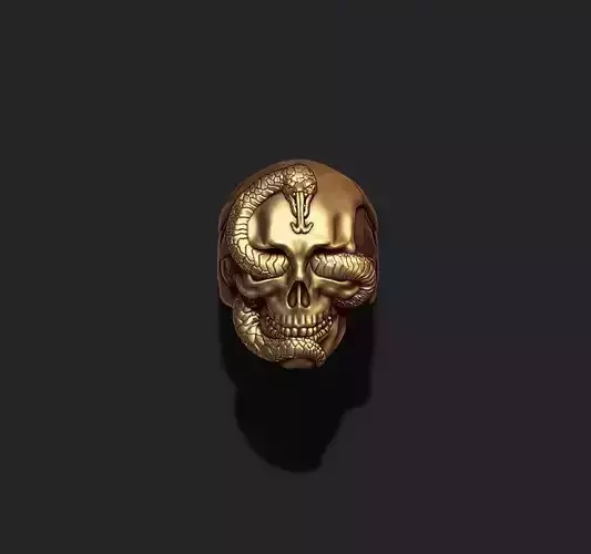 skull with snake ring 3D print model