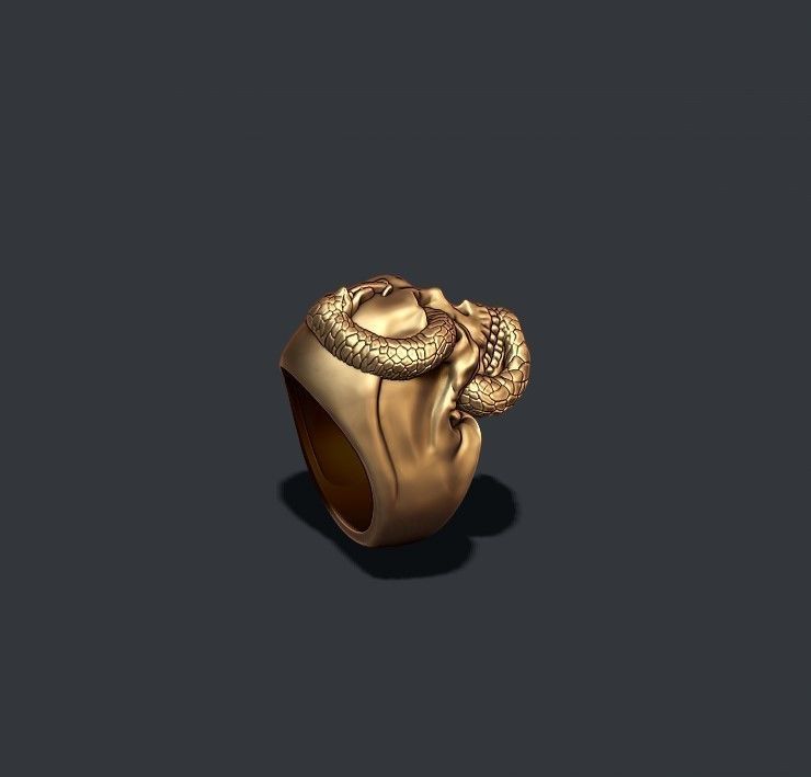 skull with snake ring 3D print model_3