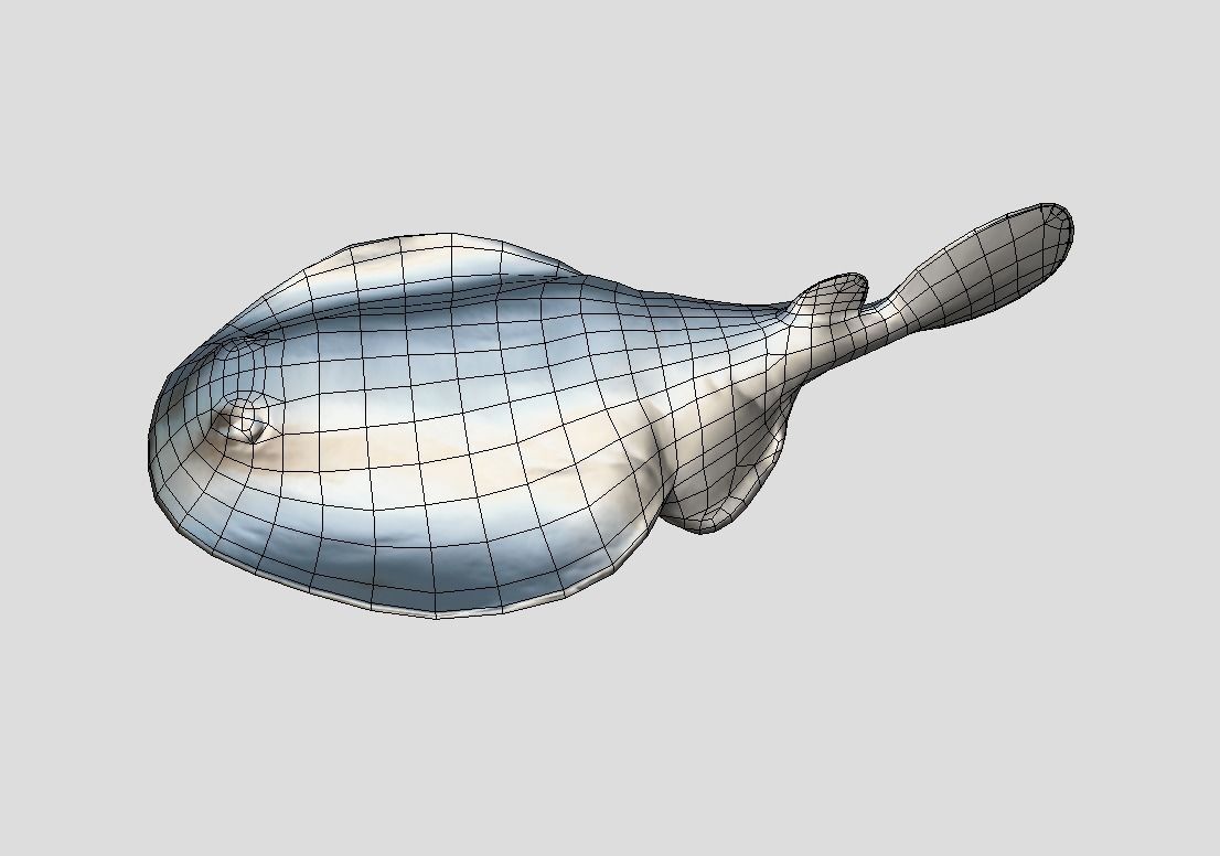 Sleeper Ray Realistic Animated Low-poly 3D model_5