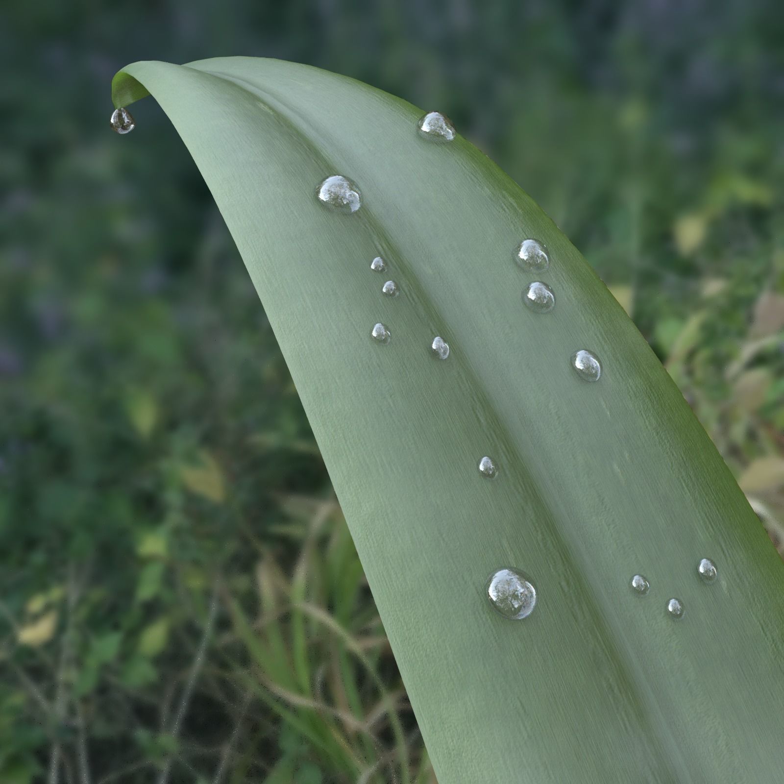 Shaders for DAZStudio 3D model_3