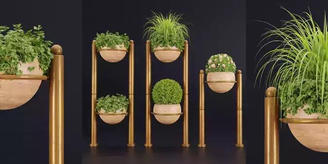 indoor plants new collection vol 35-Blender