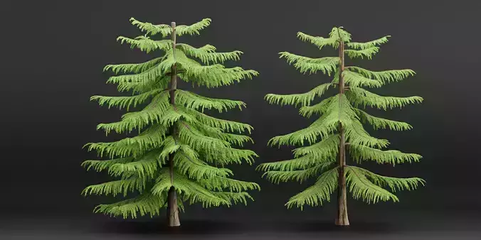 Norfolk Island pine vol 36-Blender