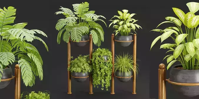 indoor plants collection vol 37-Blender