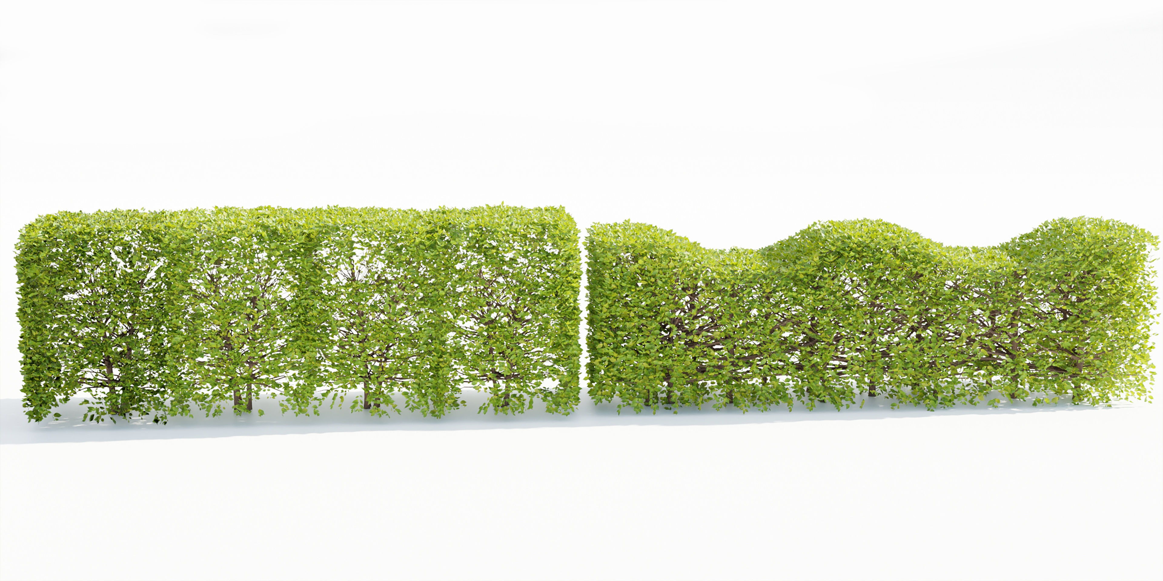 bush collection vol 38-Blender 3D model_3