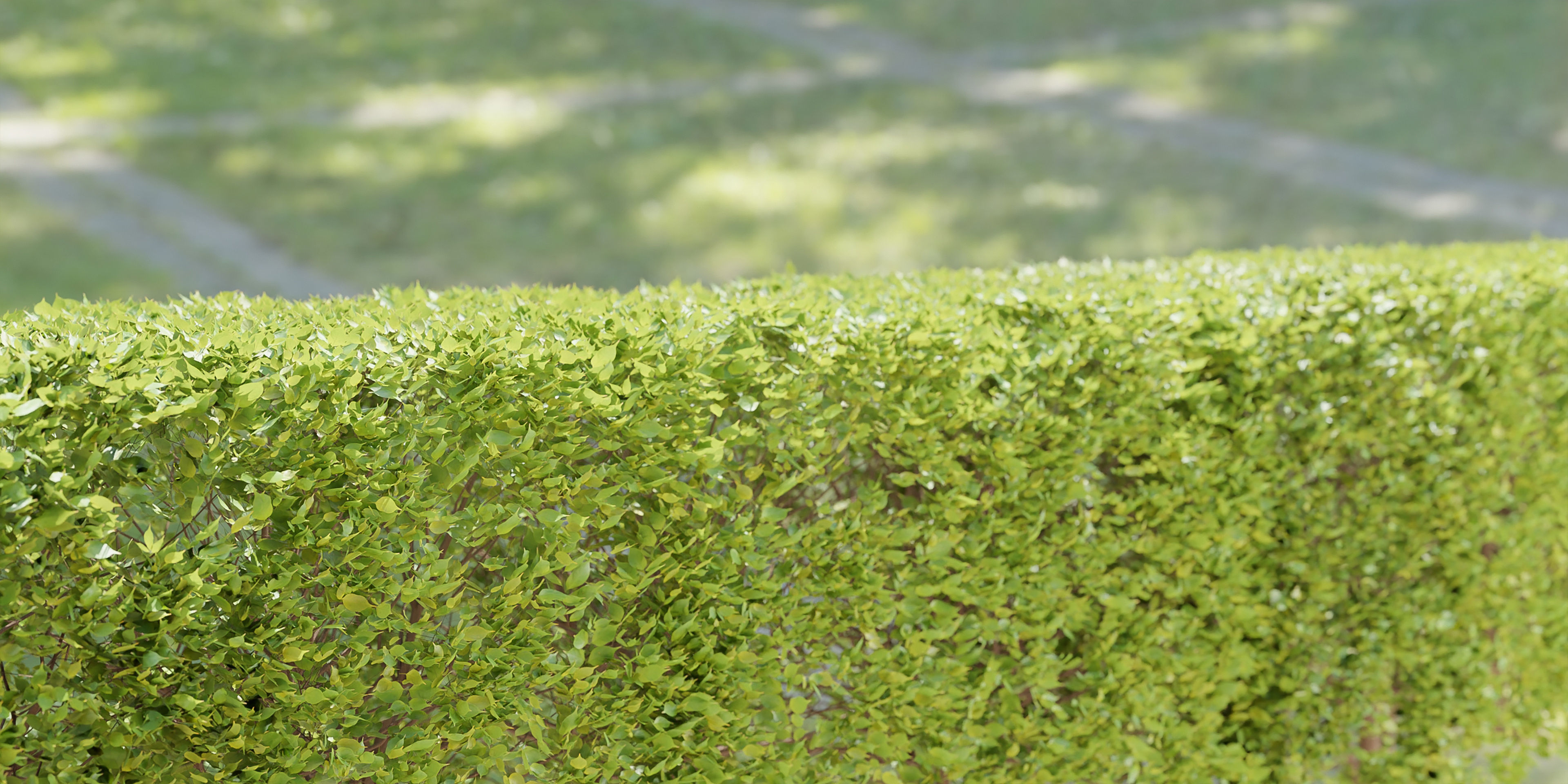 bush collection vol 38-Blender 3D model_4