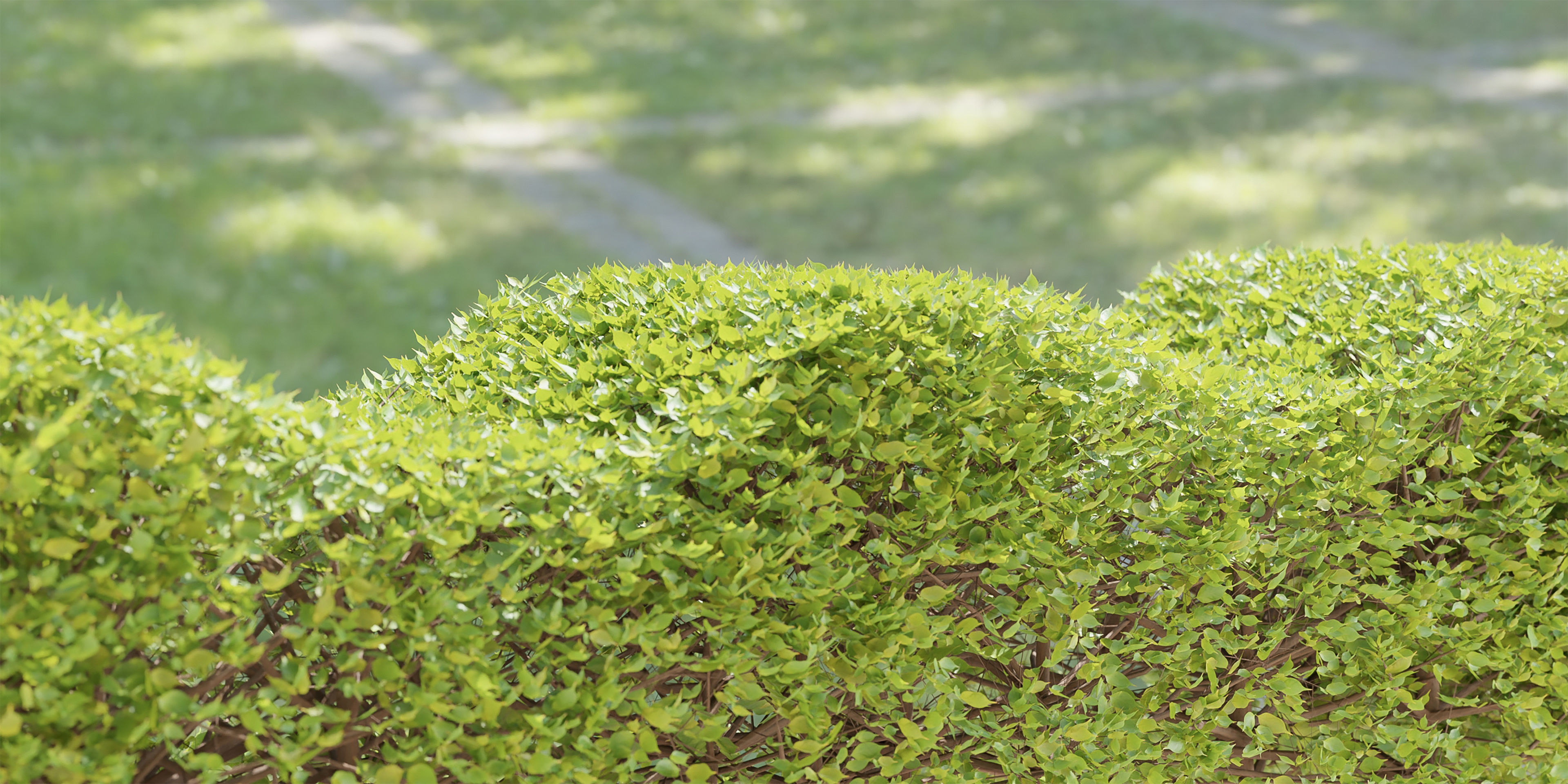 bush collection vol 38-Blender 3D model_5